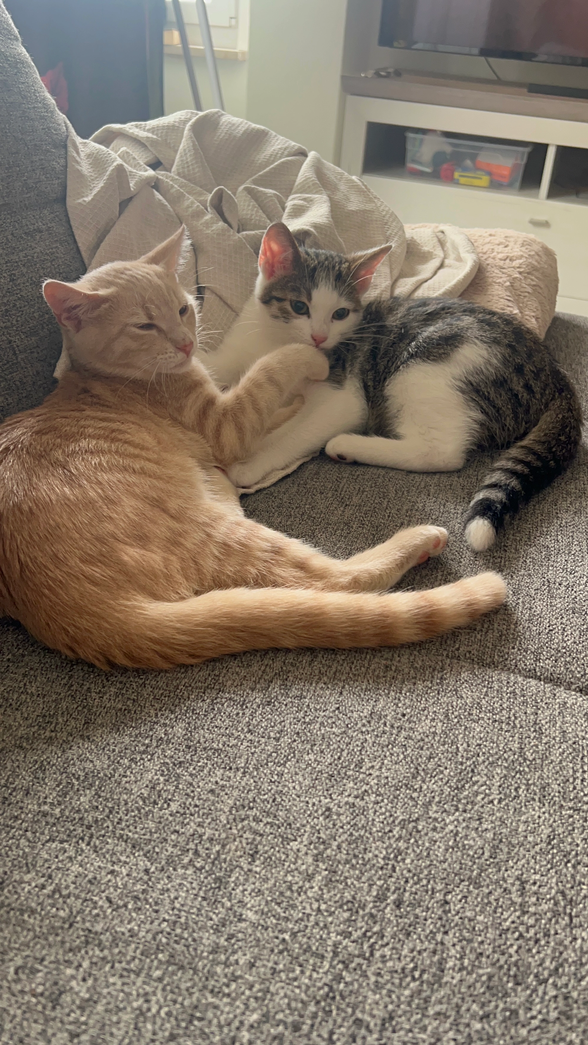 Lani und Lucy - Thomas-Klingg-Steige, Königsberg in Bayern