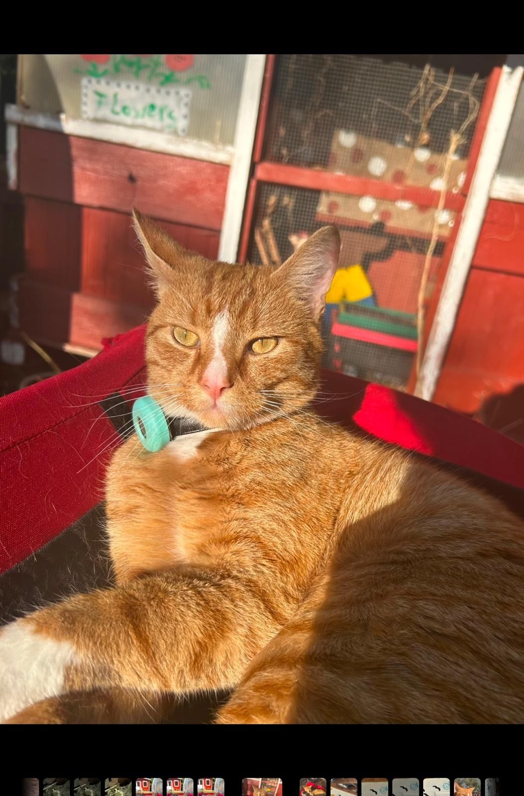 Garfield - Talstraße, Ibbenbüren