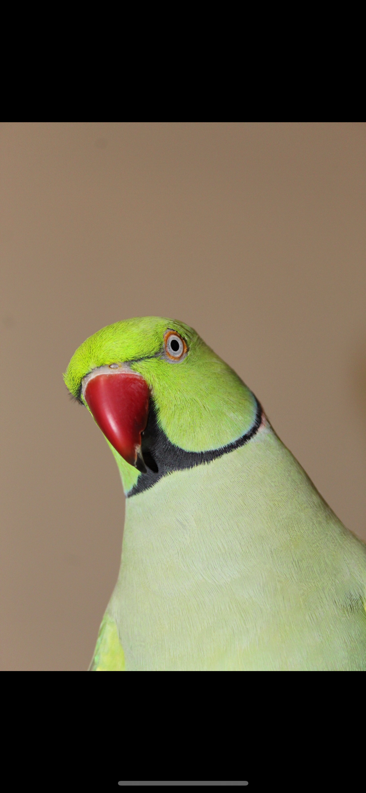 Miu - Taşocağı Yolu, Istanbul