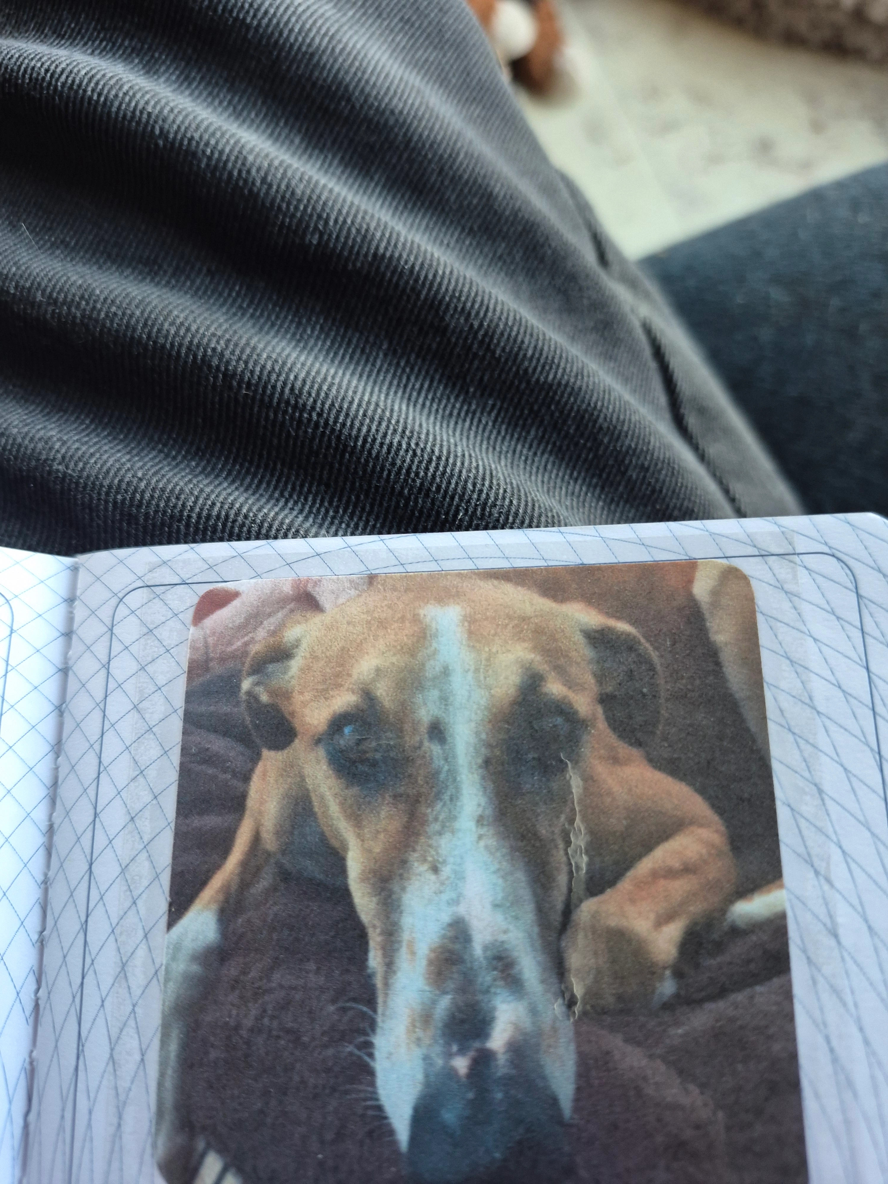 Phil - Rue de Toernich, Arlon