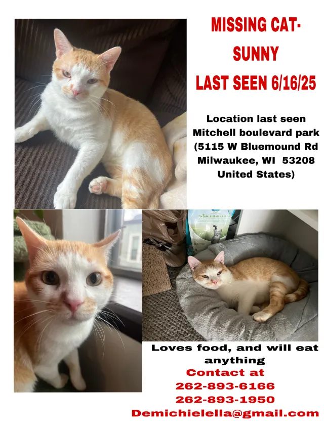 Sunny - Zablocki Drive, Milwaukee