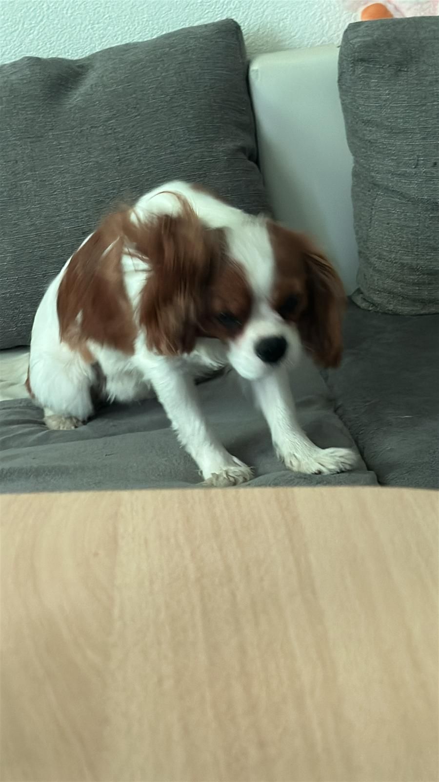 Chapo - Großgartacher Straße, Heilbronn