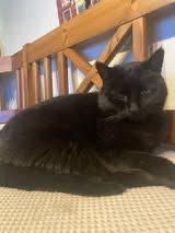 Finn - Robert-Koch-Straße, Burghausen