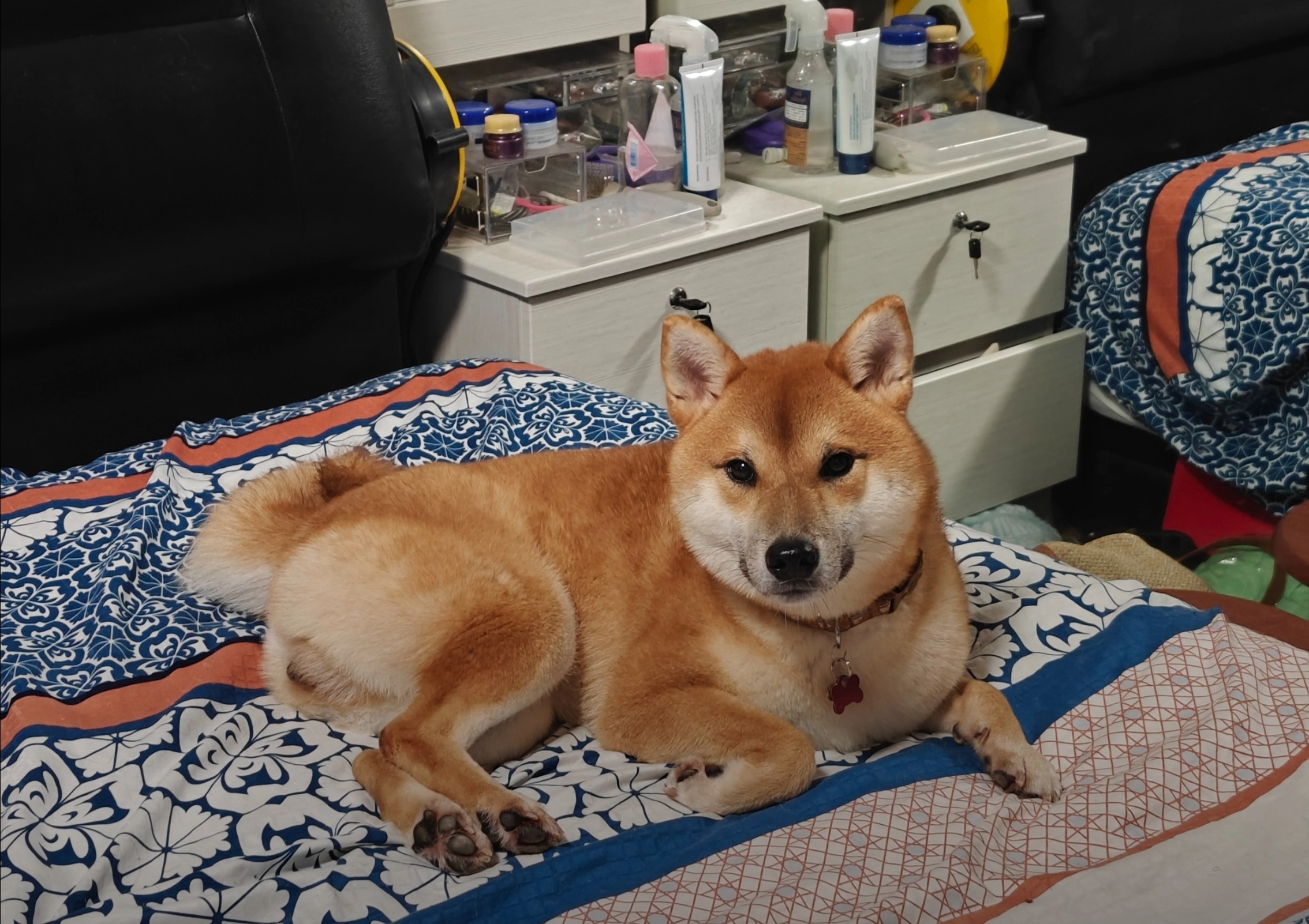 Natsu - 731898, Singapore