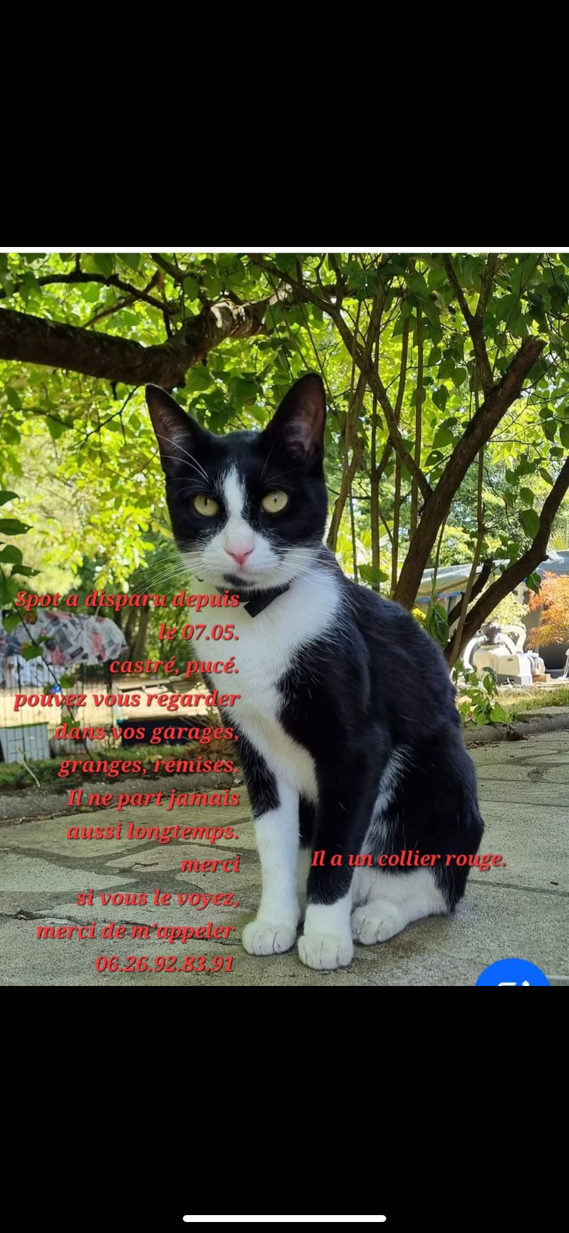 Spot  - Rue Des Écoles, Foameix-Ornel