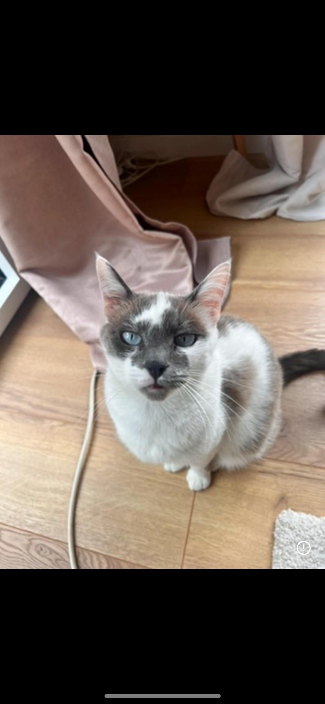 Swanny - 19 Rue Georges Pompidou, Pont-l'Abbé