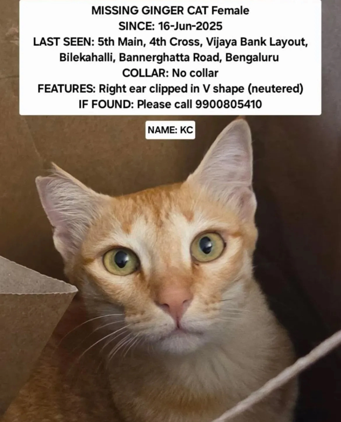 KC - 3rd Cross, Bengaluru