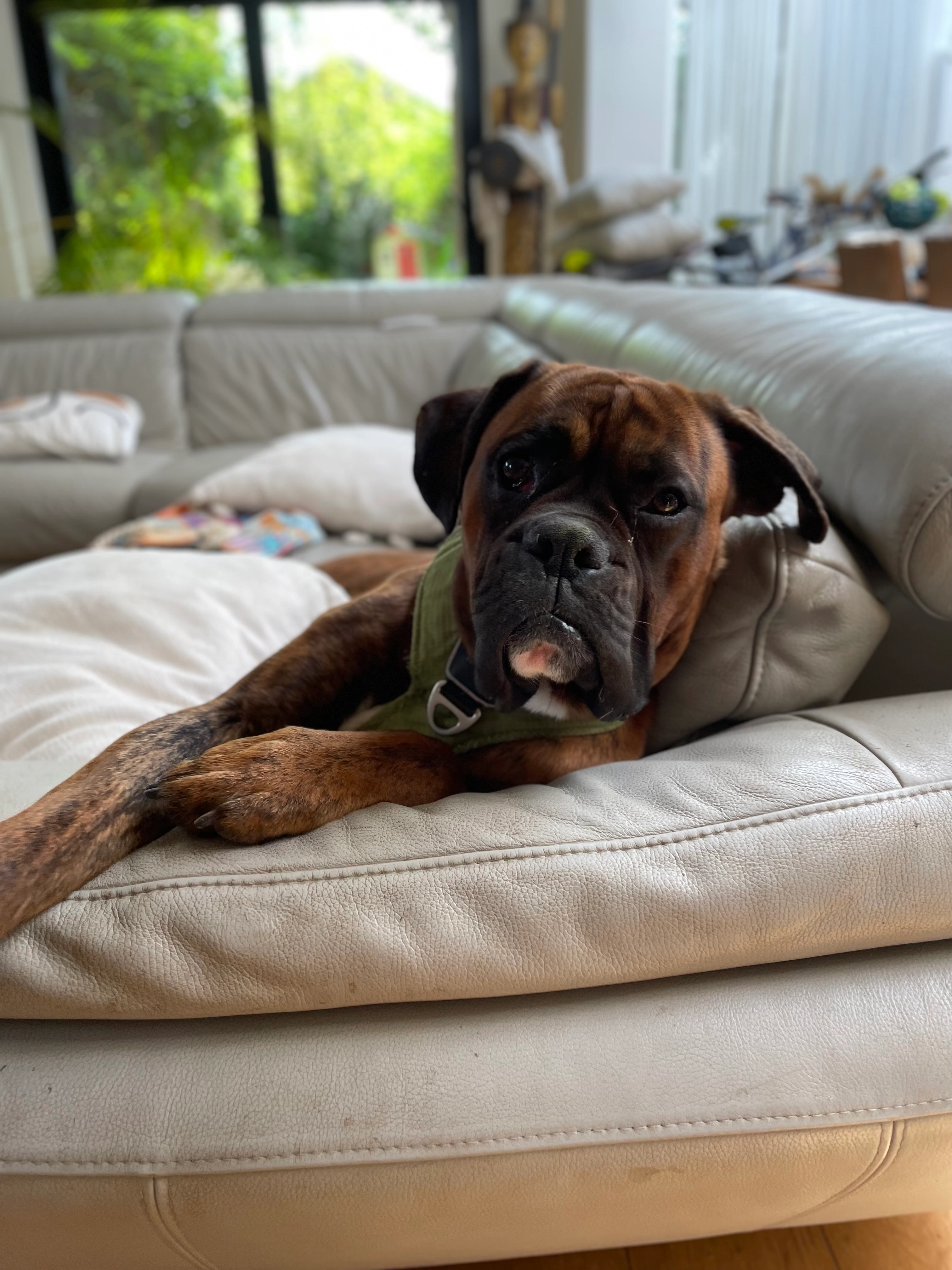 Lucien - Sortie 8, Wavre