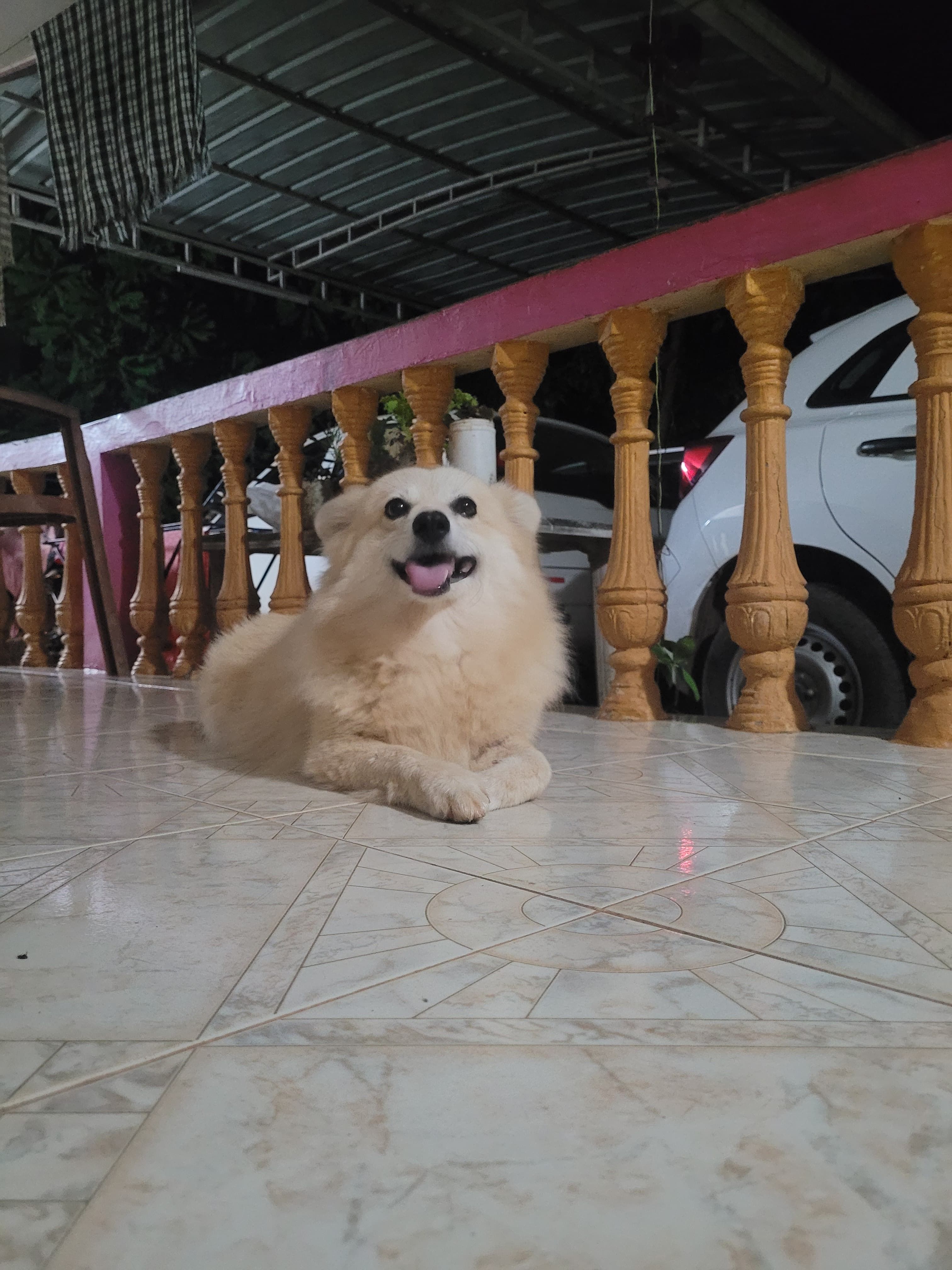 Kia - Kelarkalabettu, Udupi