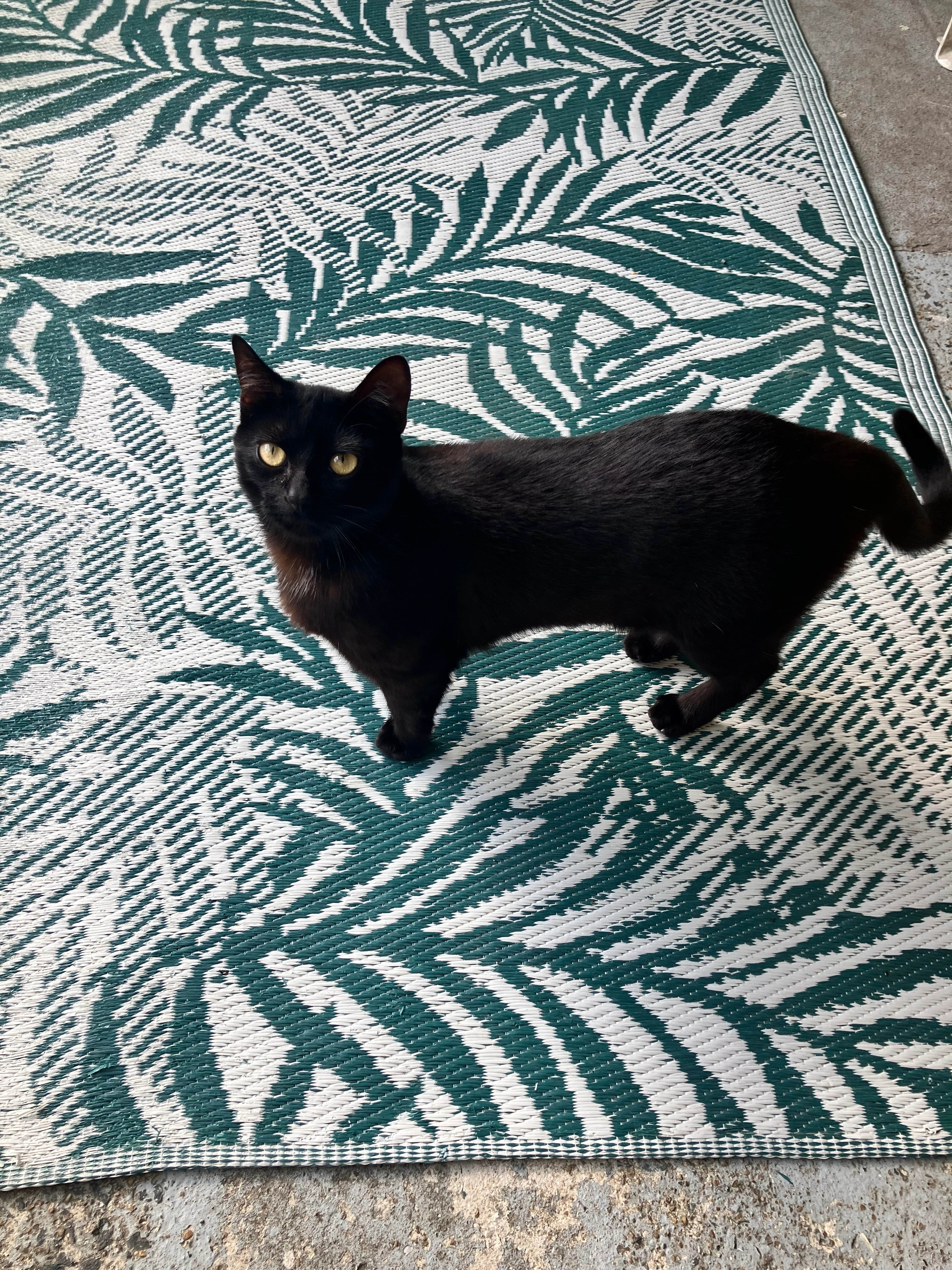 Stigma  - Le Clos De La Bonninière, Montaigu