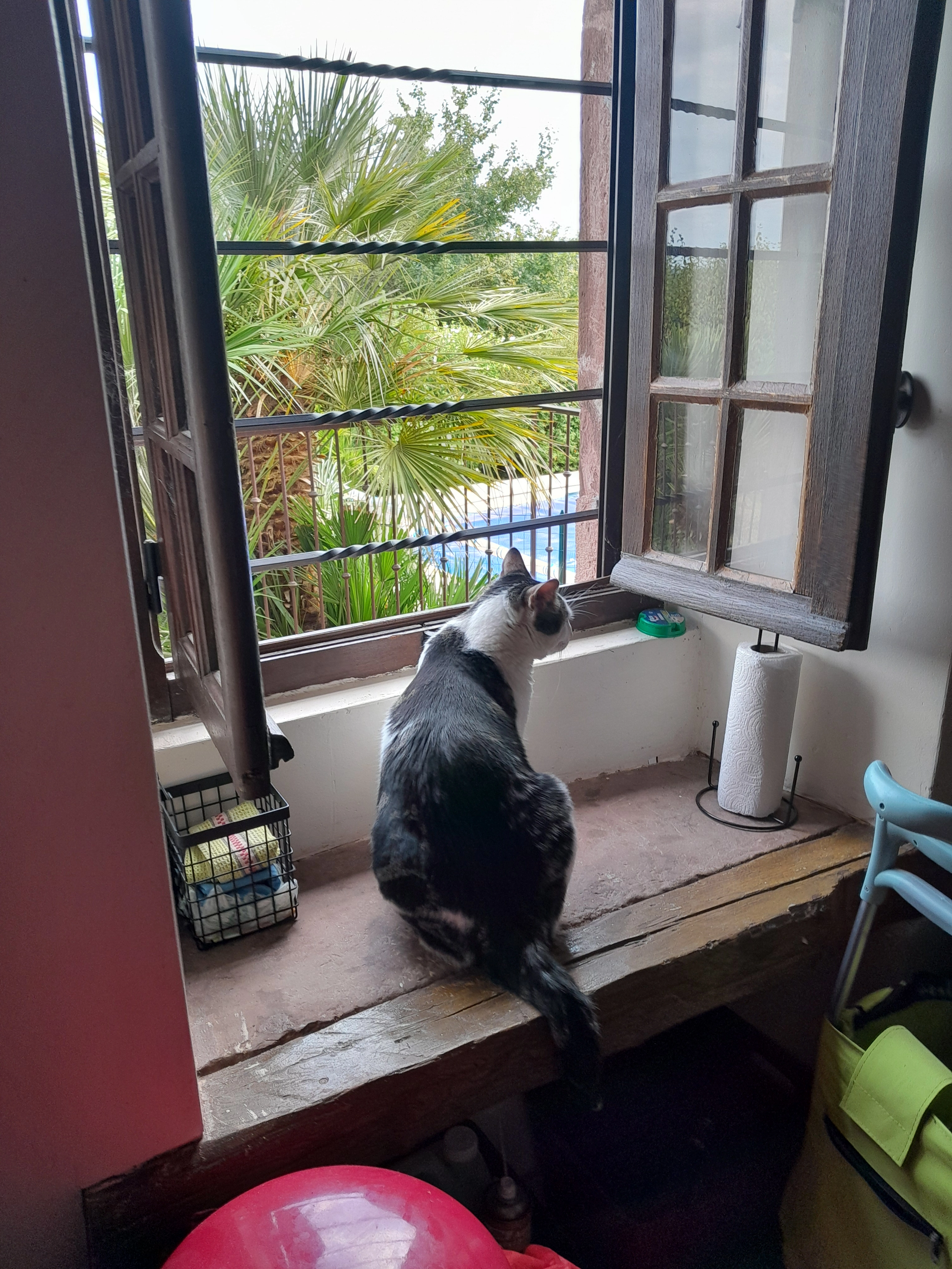 Schuss - Impasse Des Ortheils, Lagleygeolle