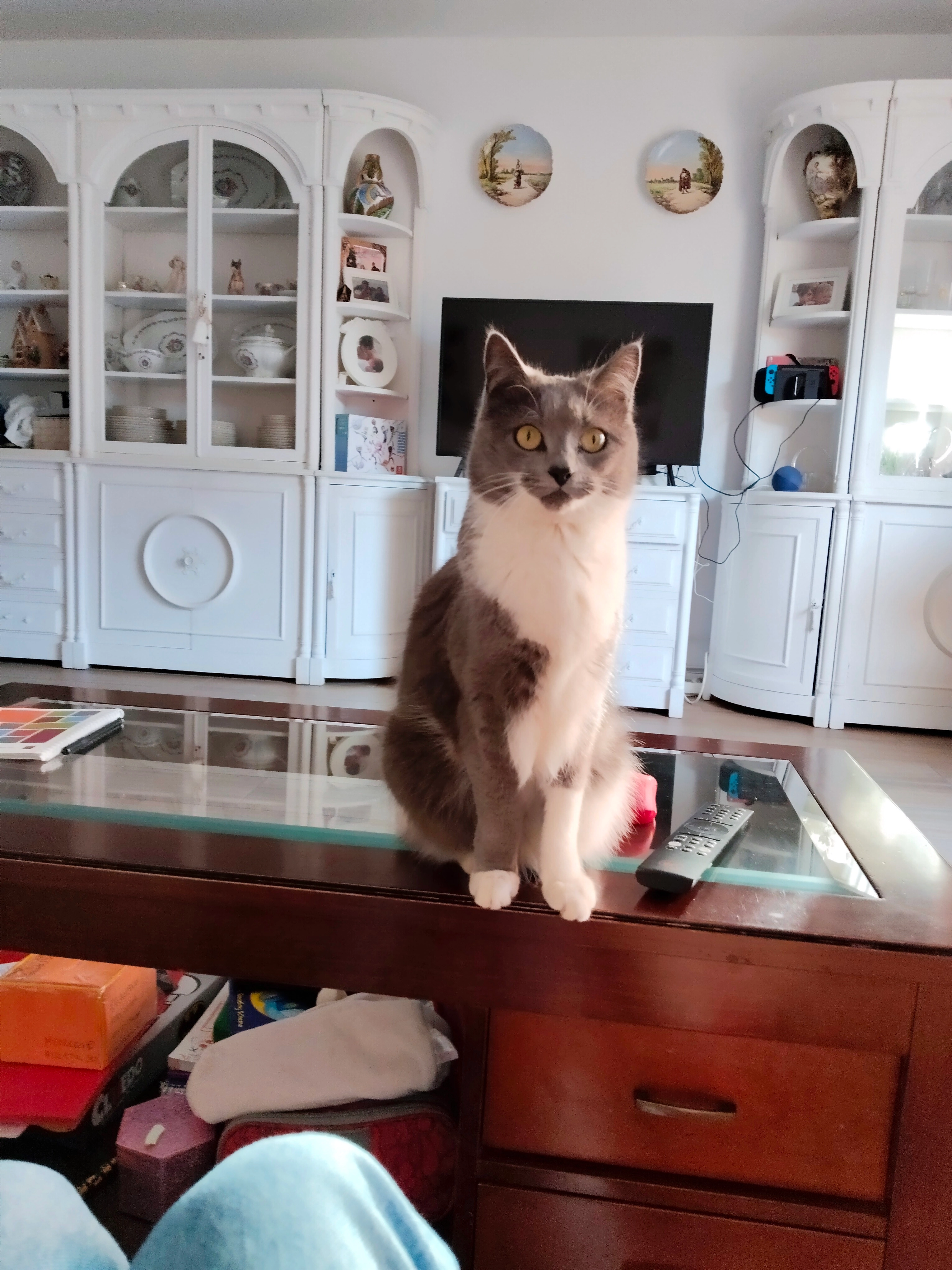 Gucci - Glorieta Deportista Paqui Veza, Alicante