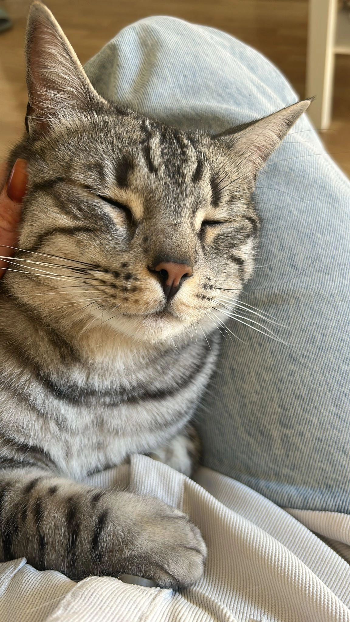 Karma  - 52 Rue du Général Leclerc, Meaux