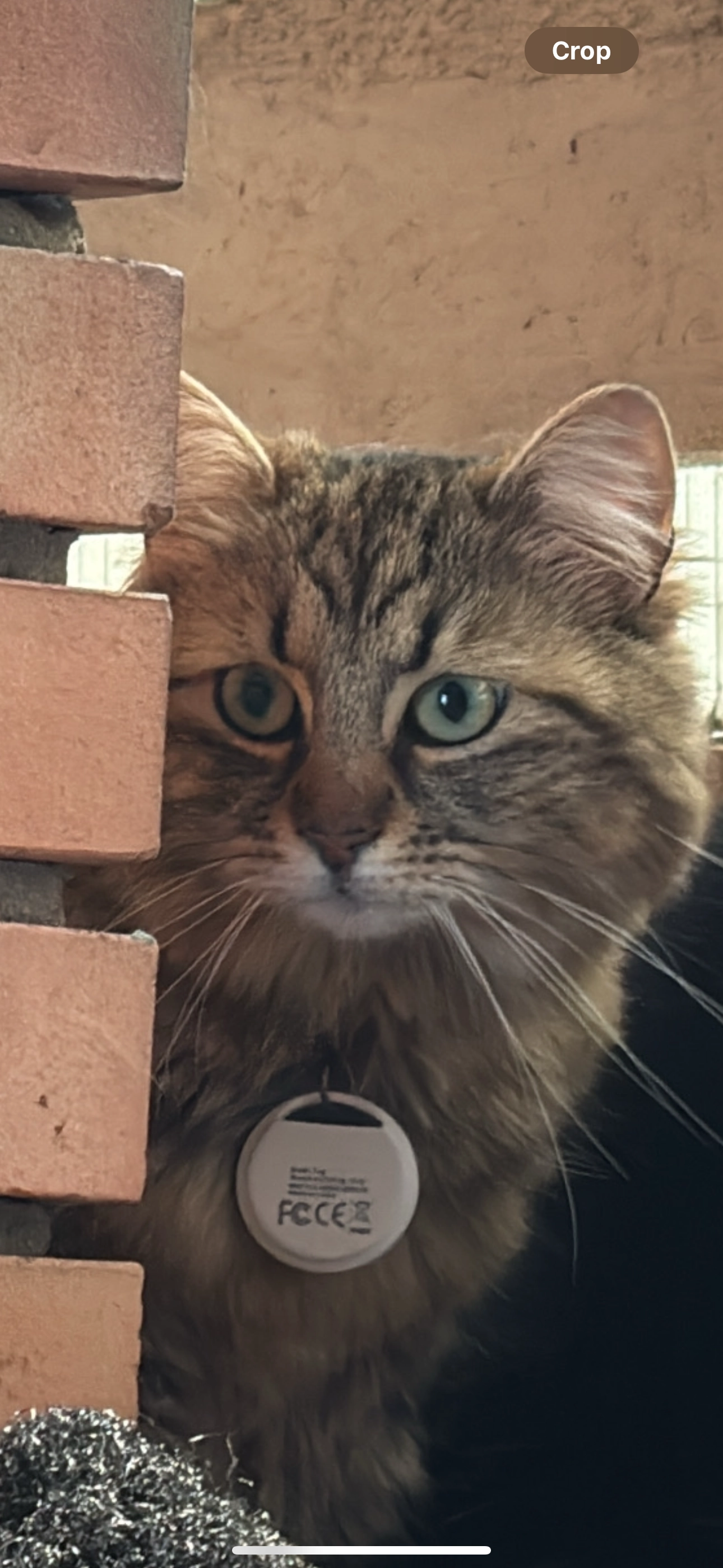 Mustik  - Gheorghe Asachi Street, Stăuceni