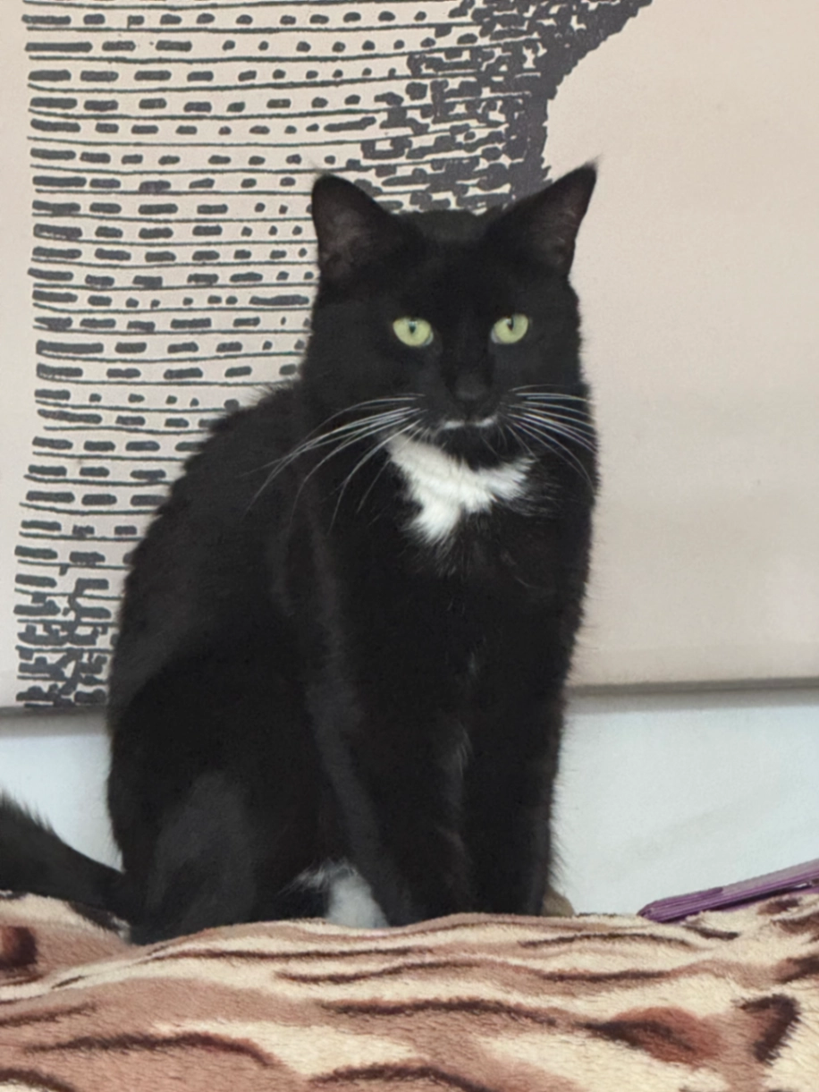 Gisela/Gigi - Leighton Road, London