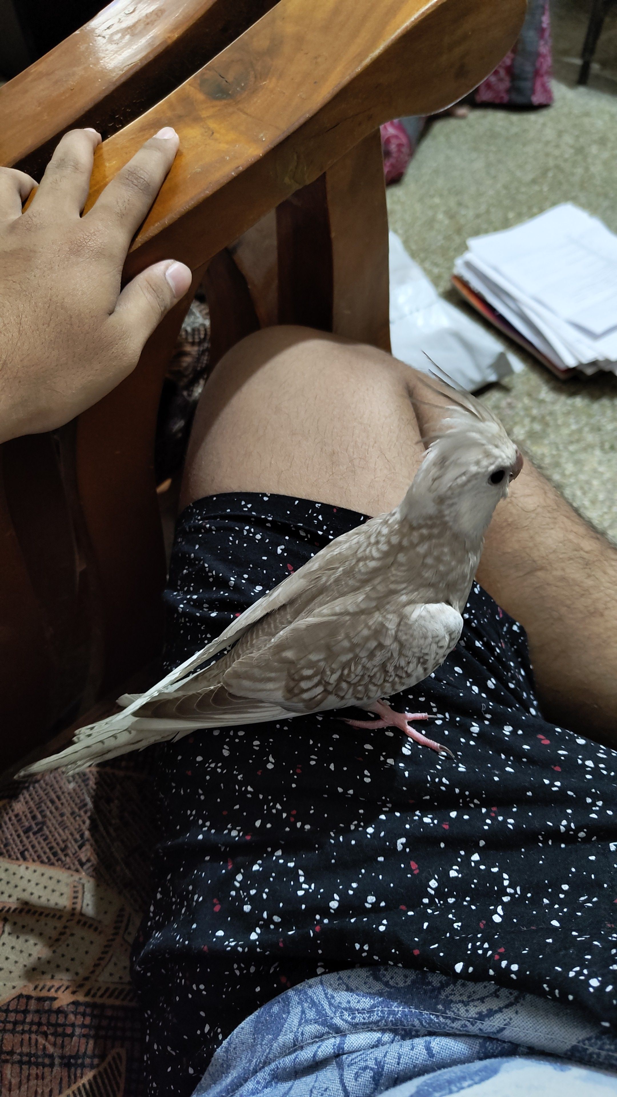 Bittu - 4th Cross Road, Bengaluru