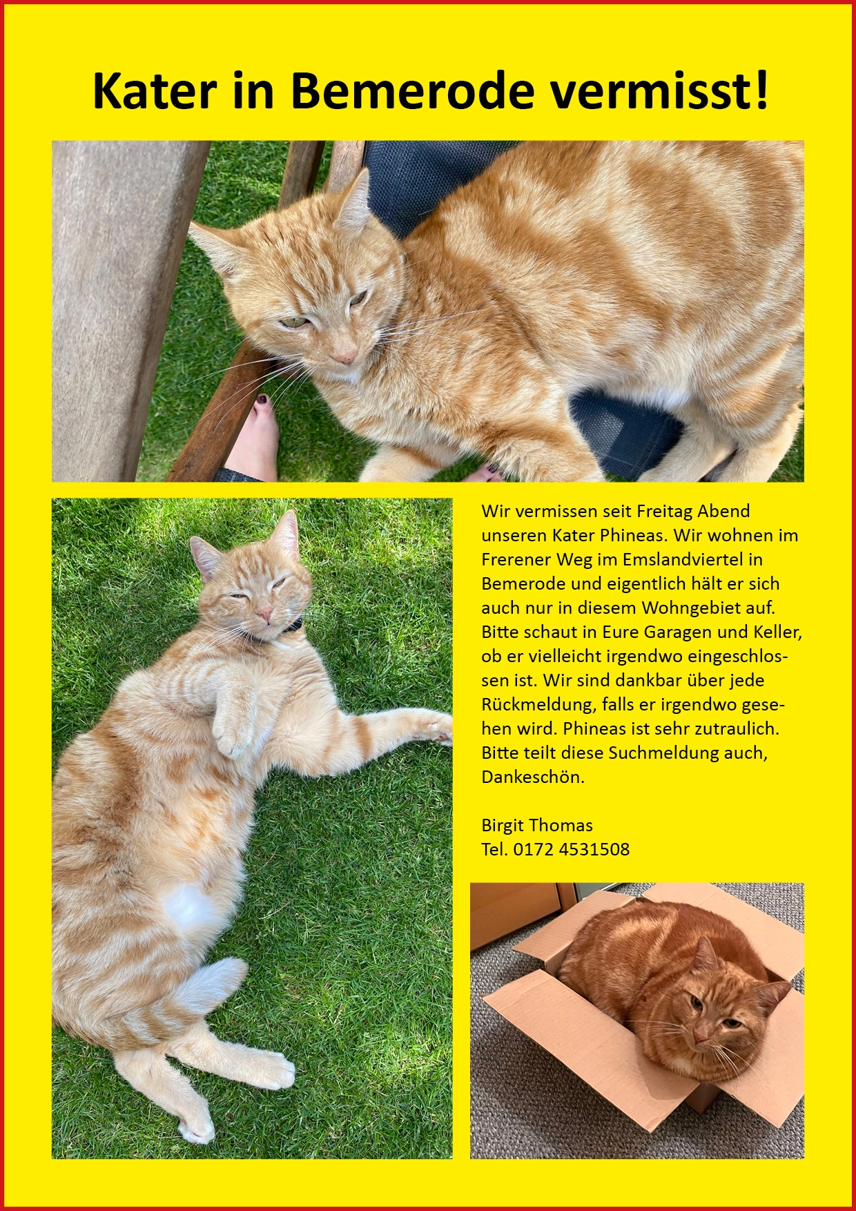 Phineas - Frerener Weg, Hannover