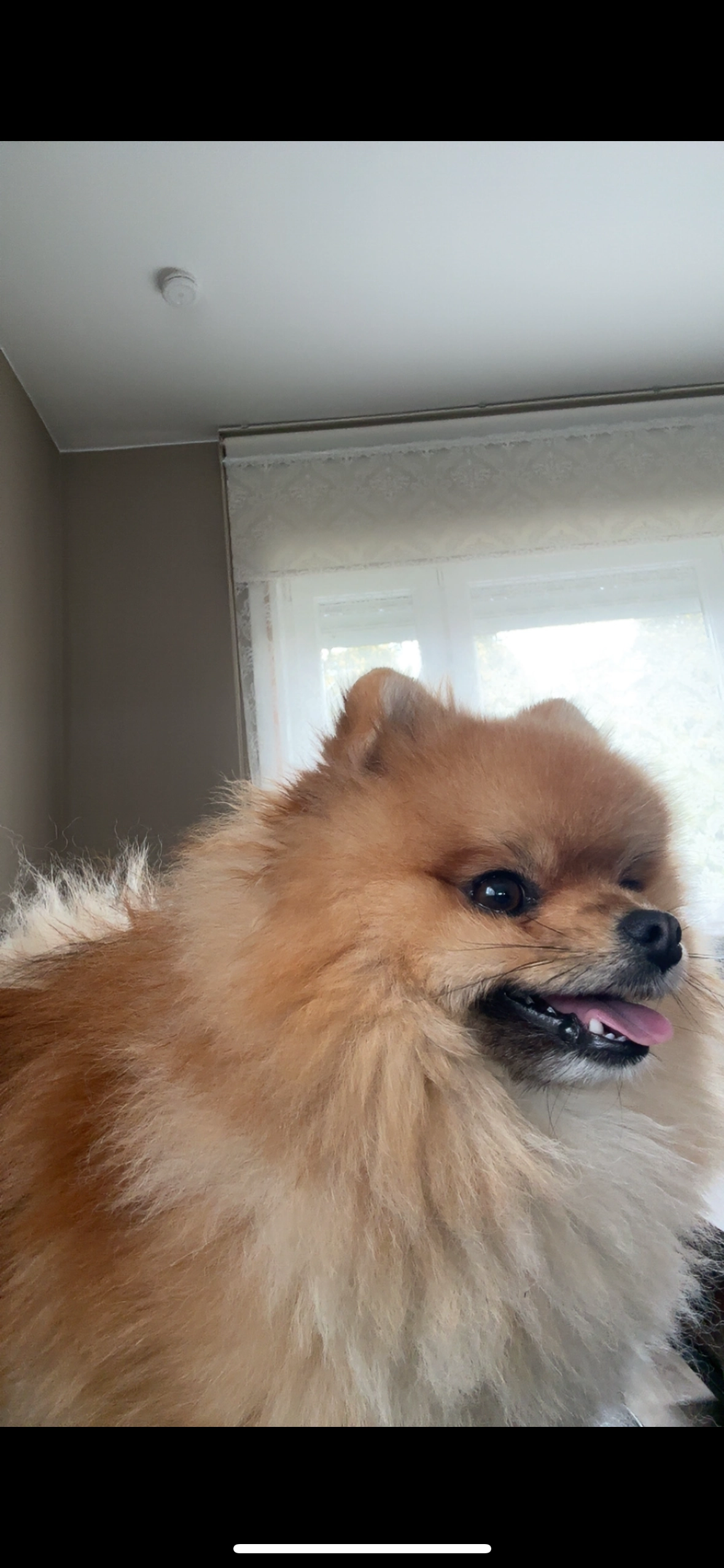 Çiko - Avenue De La Libération, Mons