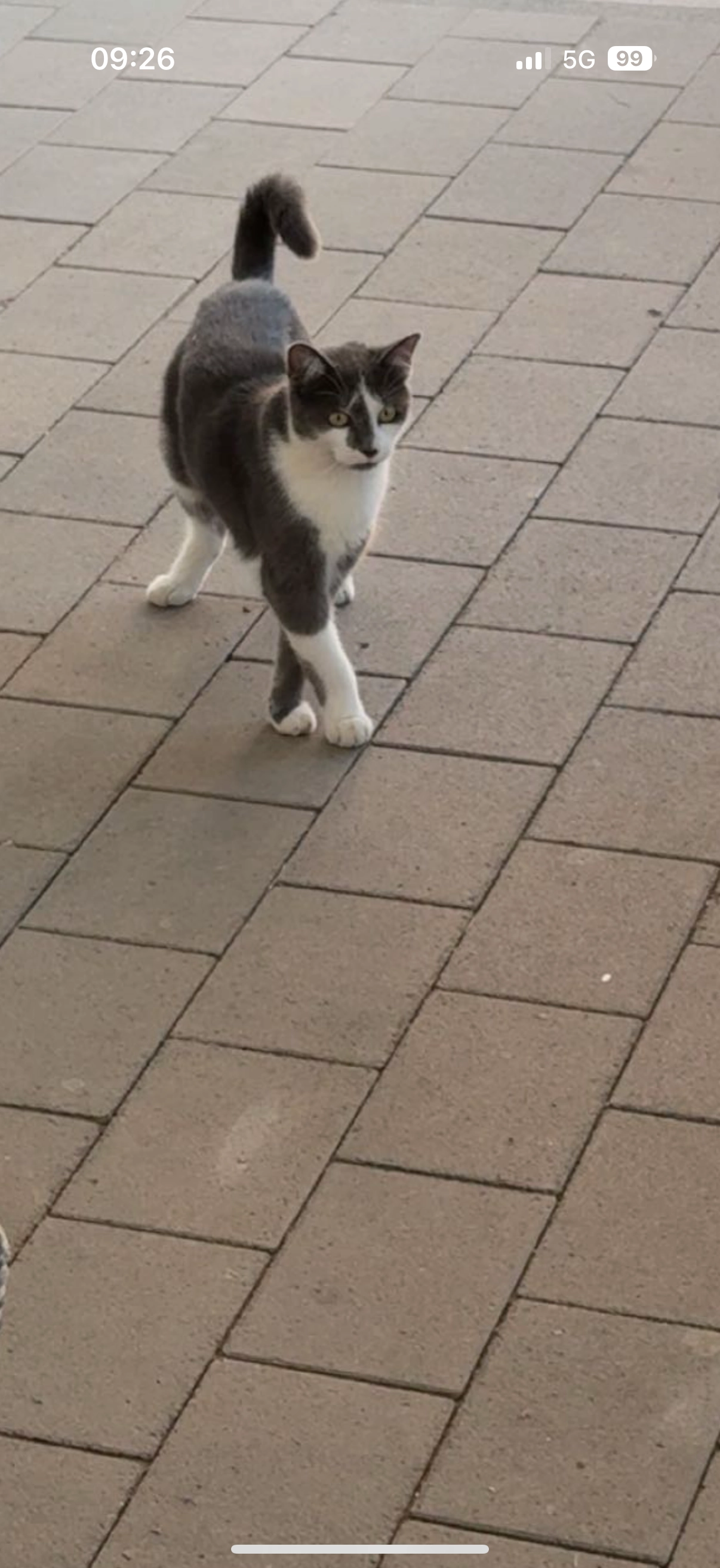 Carla - Pfühlstraße, Bruchmühlbach-Miesau