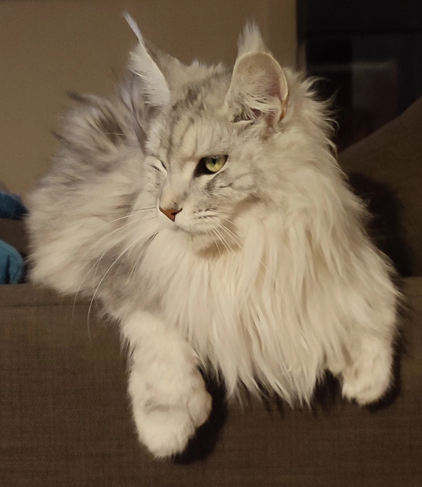 Tycha - Chemin De Saint-Vincent, Apt