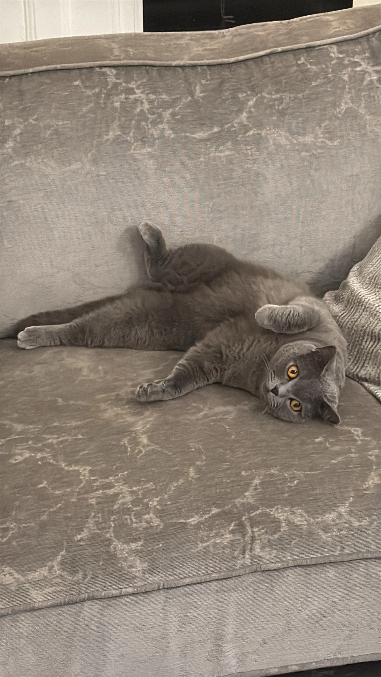 Angel - 115 Pen-y-Cae Road, Port Talbot