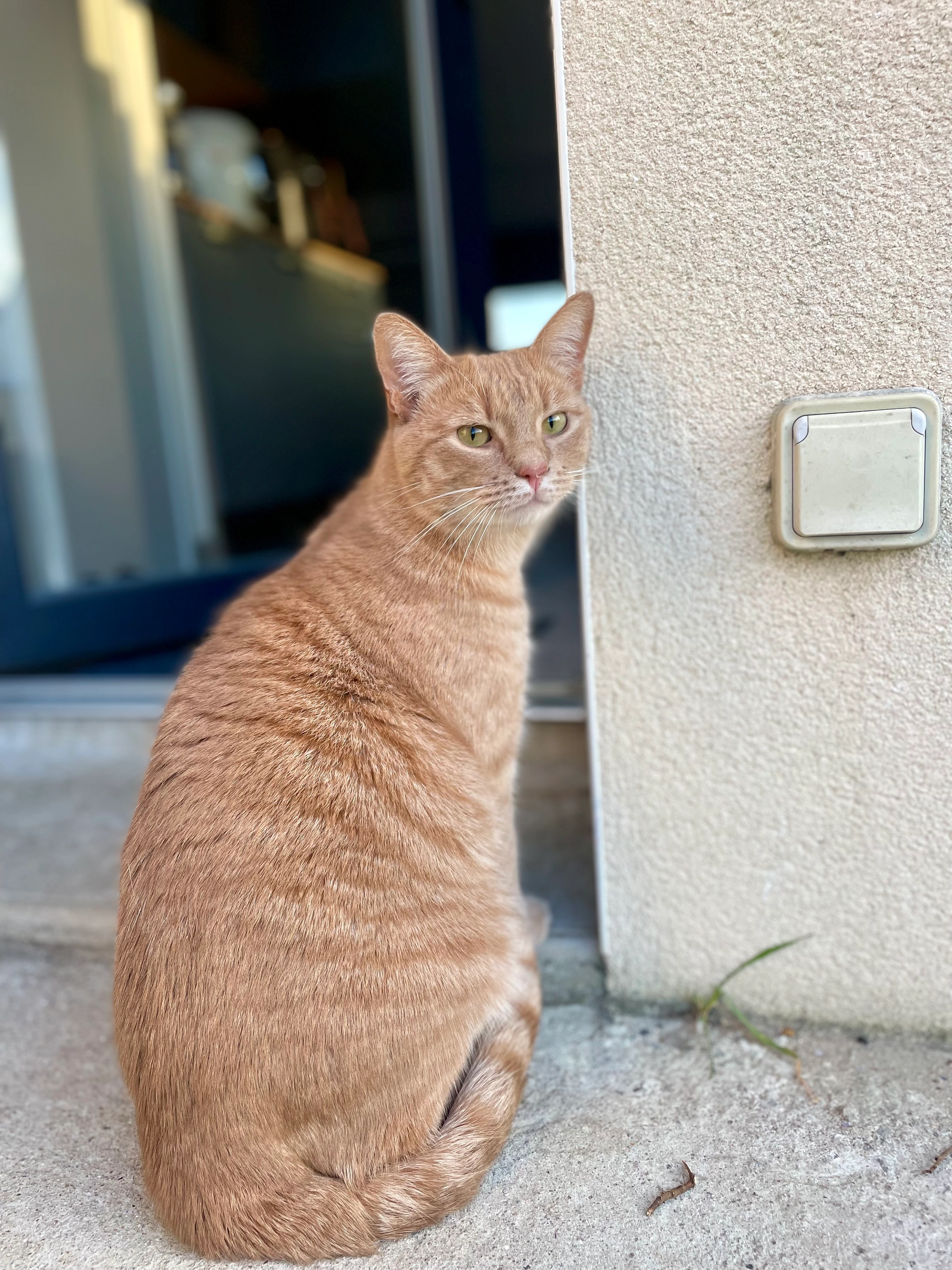 Sully - 5 Allée René Grenier, Sainte-Anne-sur-Brivet