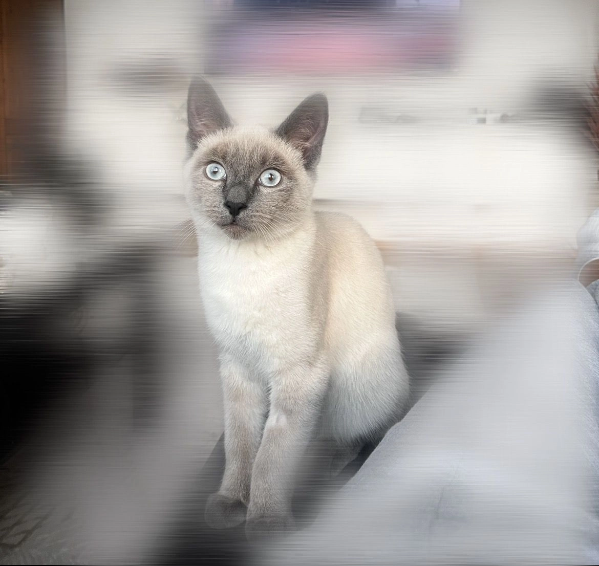 Leo - Am Leineufer, Garbsen