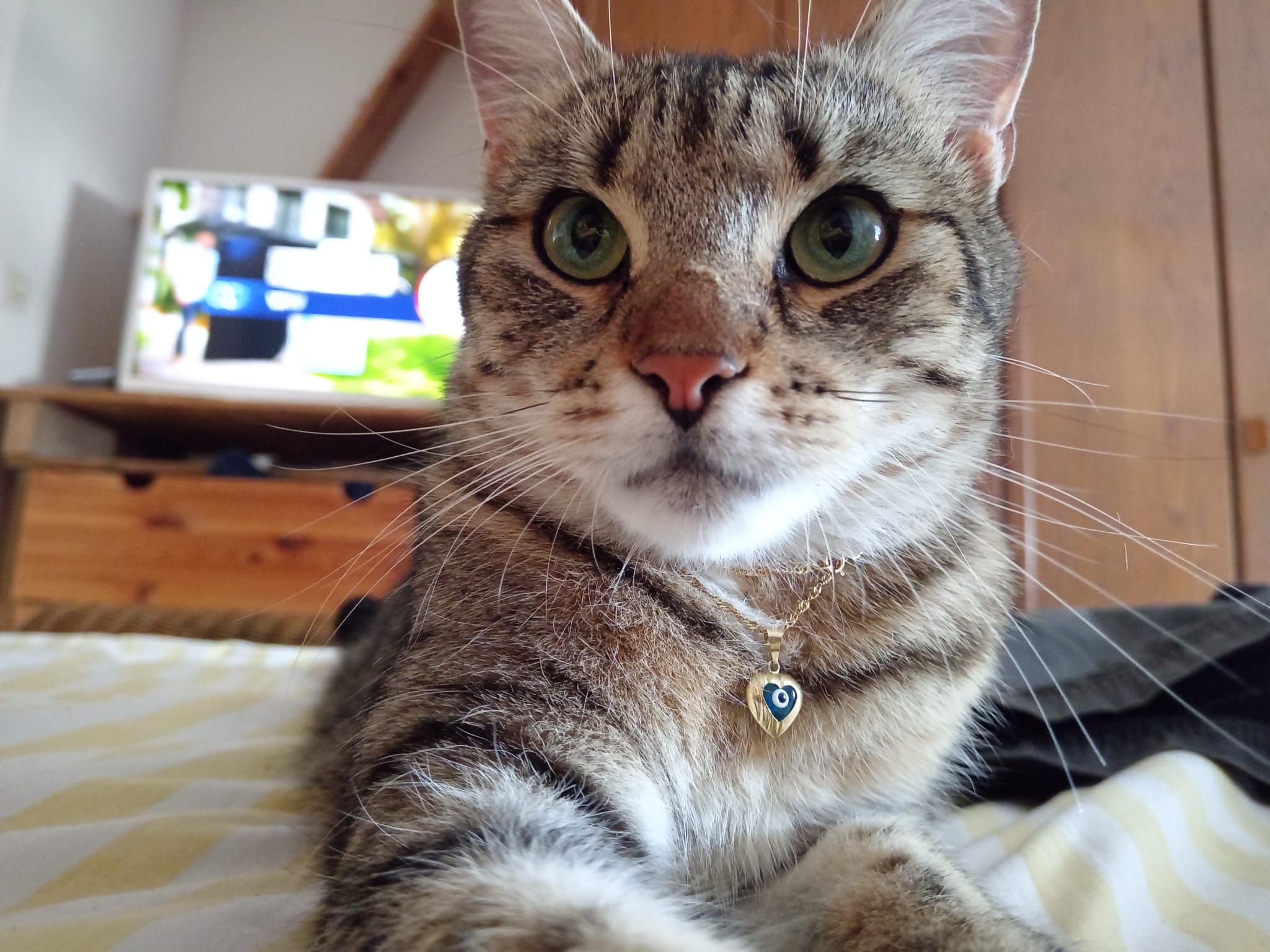 enya - Rue Des Noyers, Stundwiller