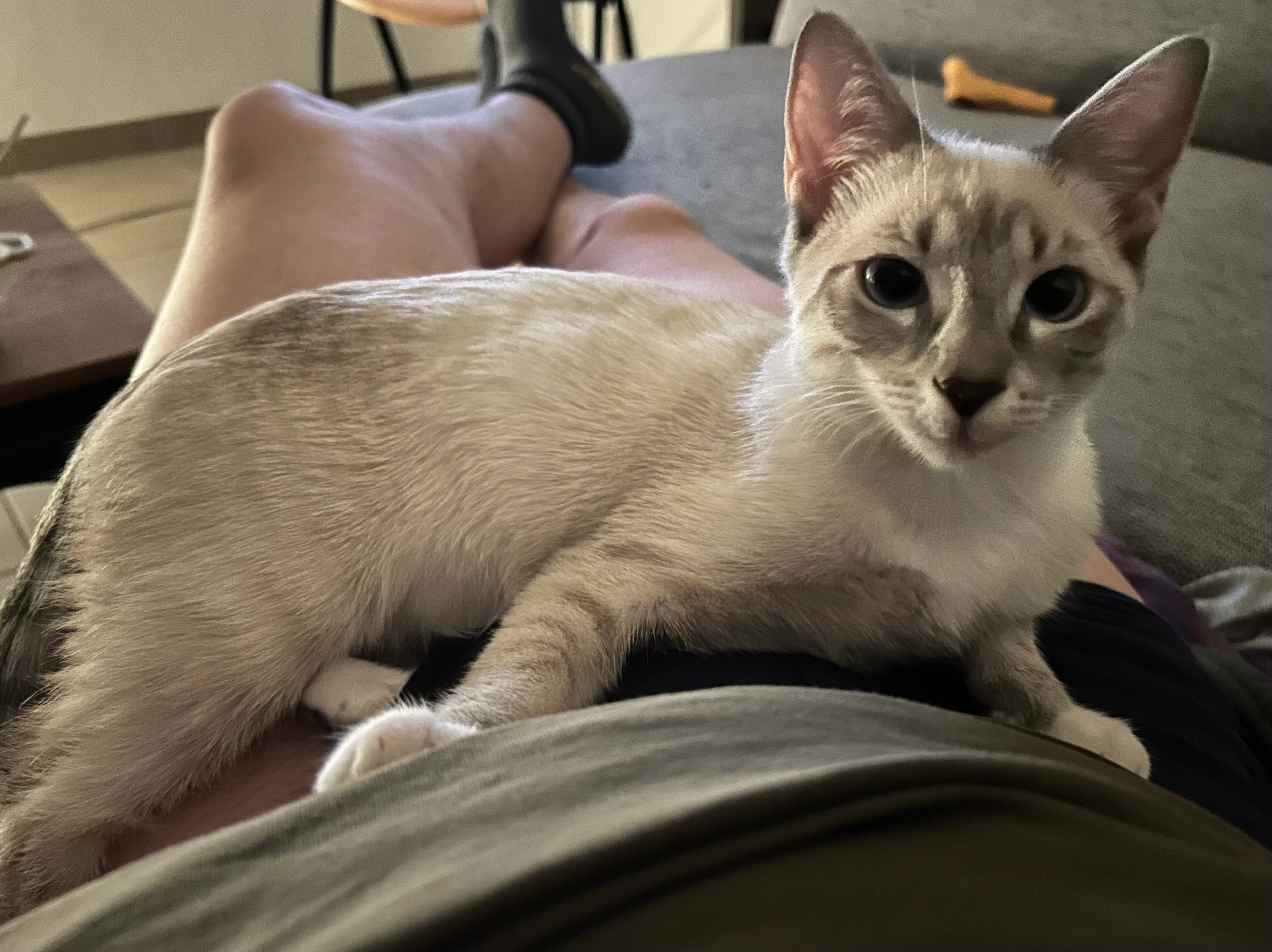 Louna - Rue Eisknippchen, Weidingen