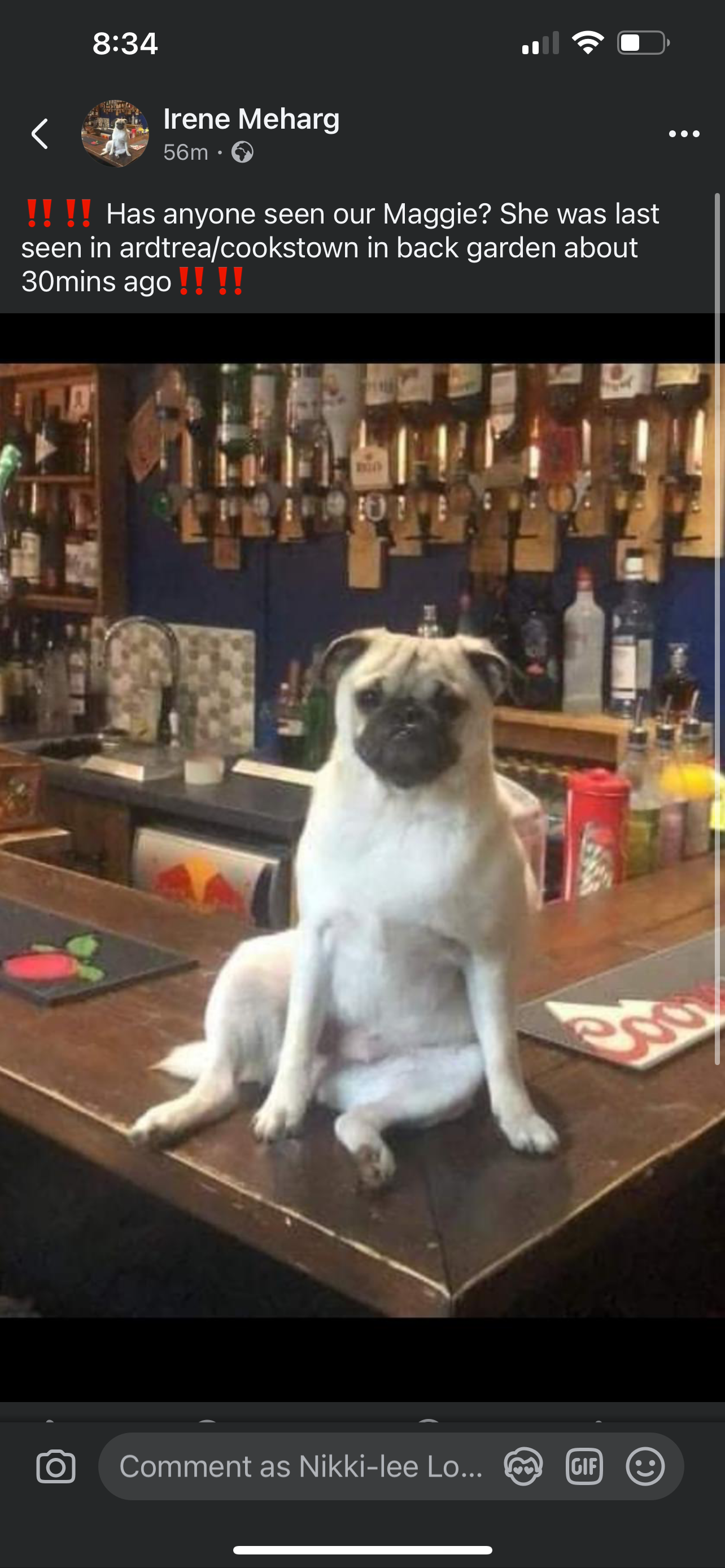 Maggie  - Tullyveagh road, Northern Ireland