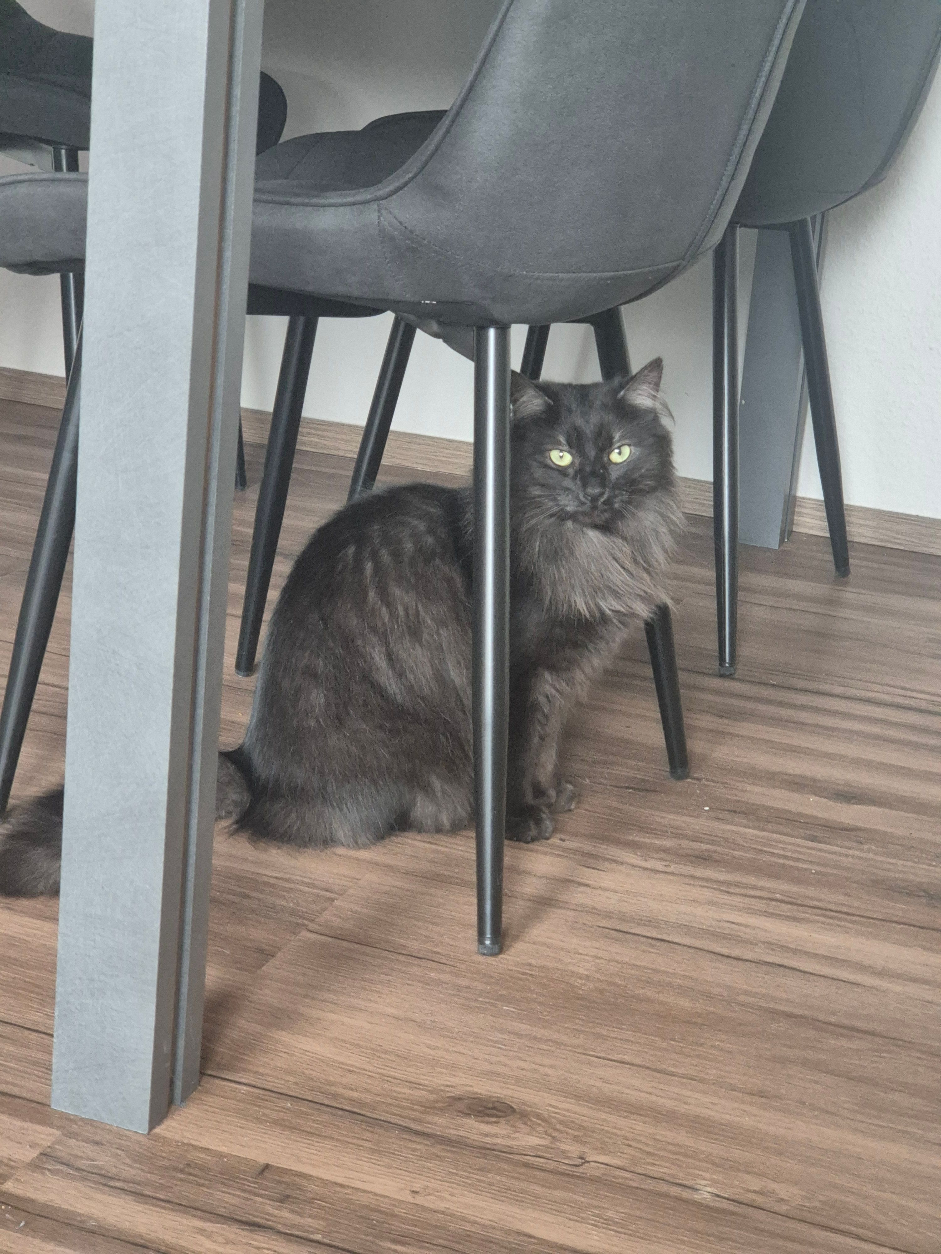 Knoppers - Raiffeisenplatz, Kell am See