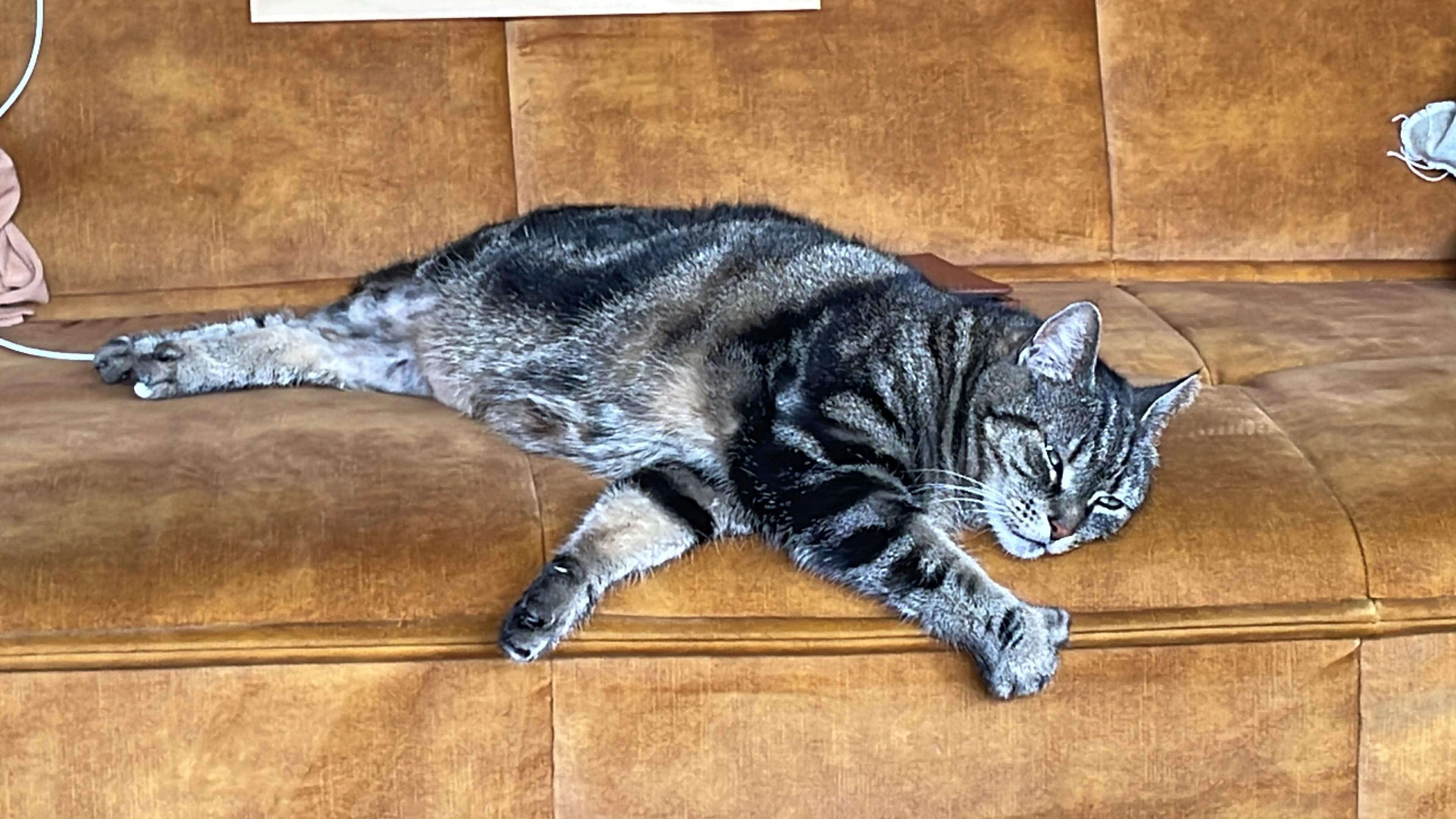 Poepie - Franc, Dronten