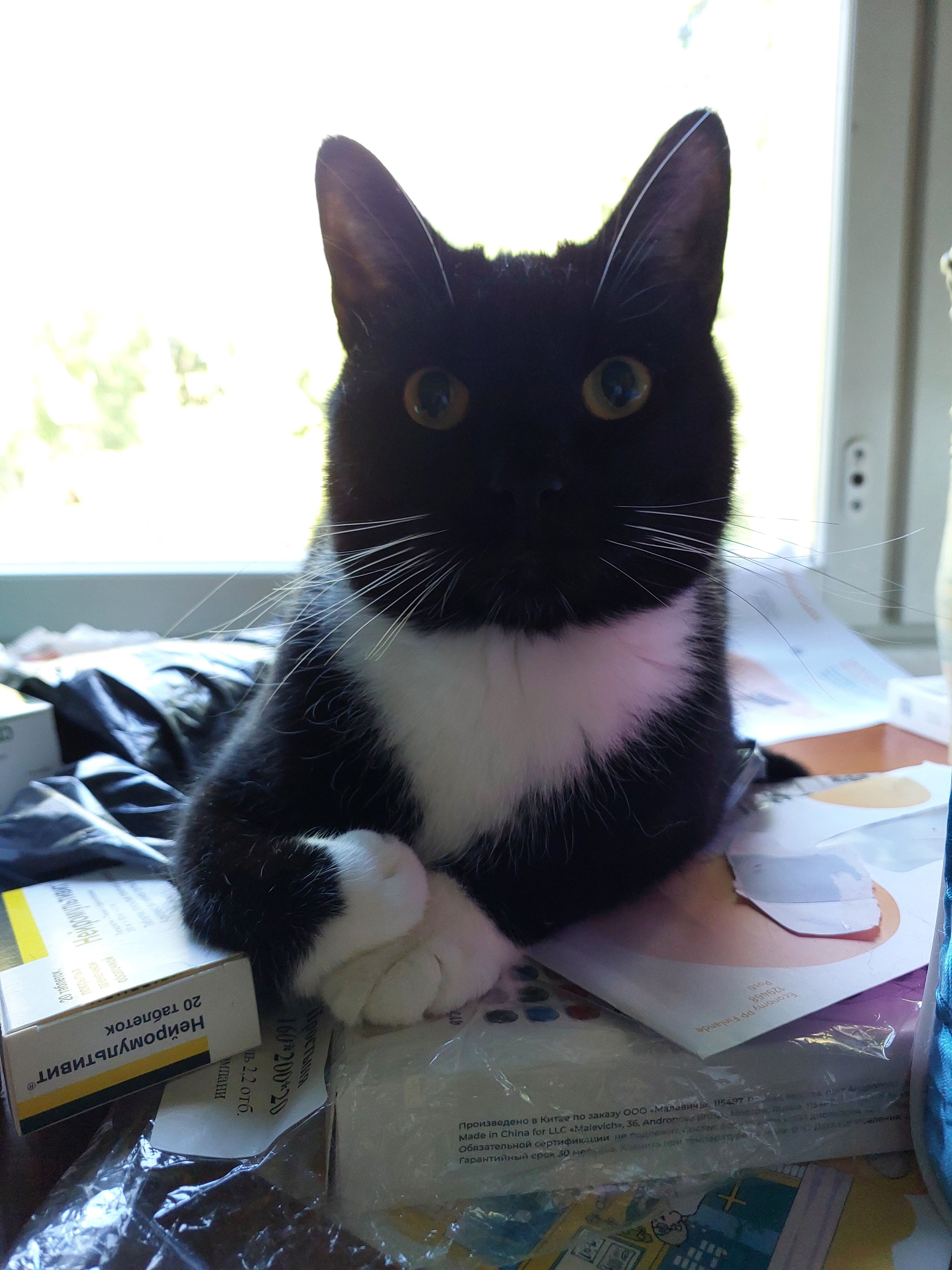 Crit - Kaivokuja, Kajaani