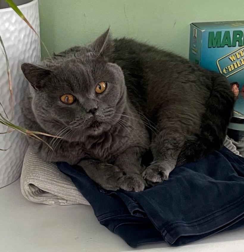 Oliver, Oli - Hamilton Road, Bournemouth