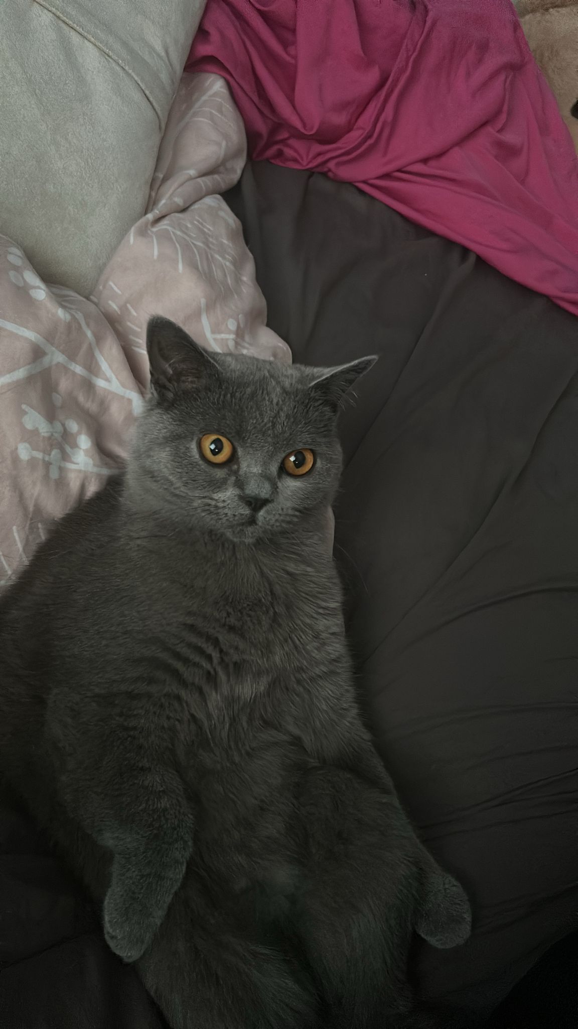 Duman - Werler Straße, Menden