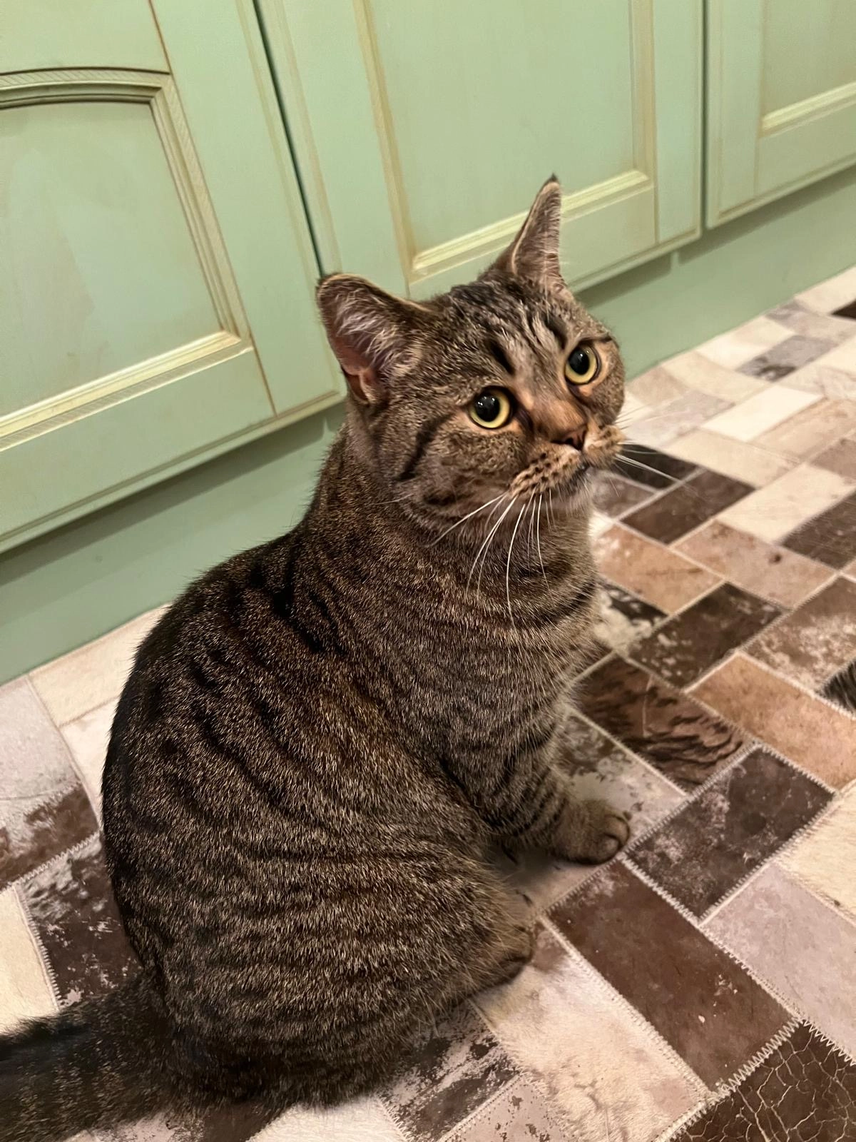 Nala - Jacob-Wins-Straße, Hohen Neuendorf