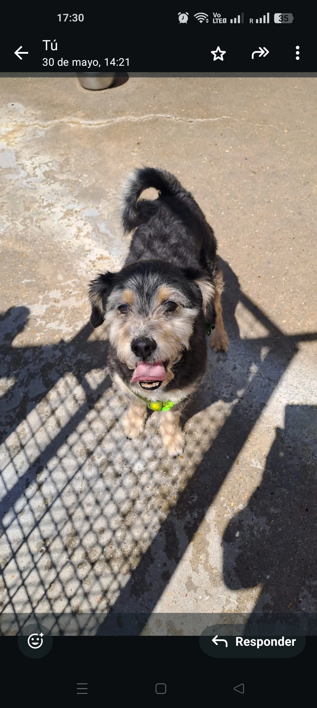 Rocky  - SE17 2, London