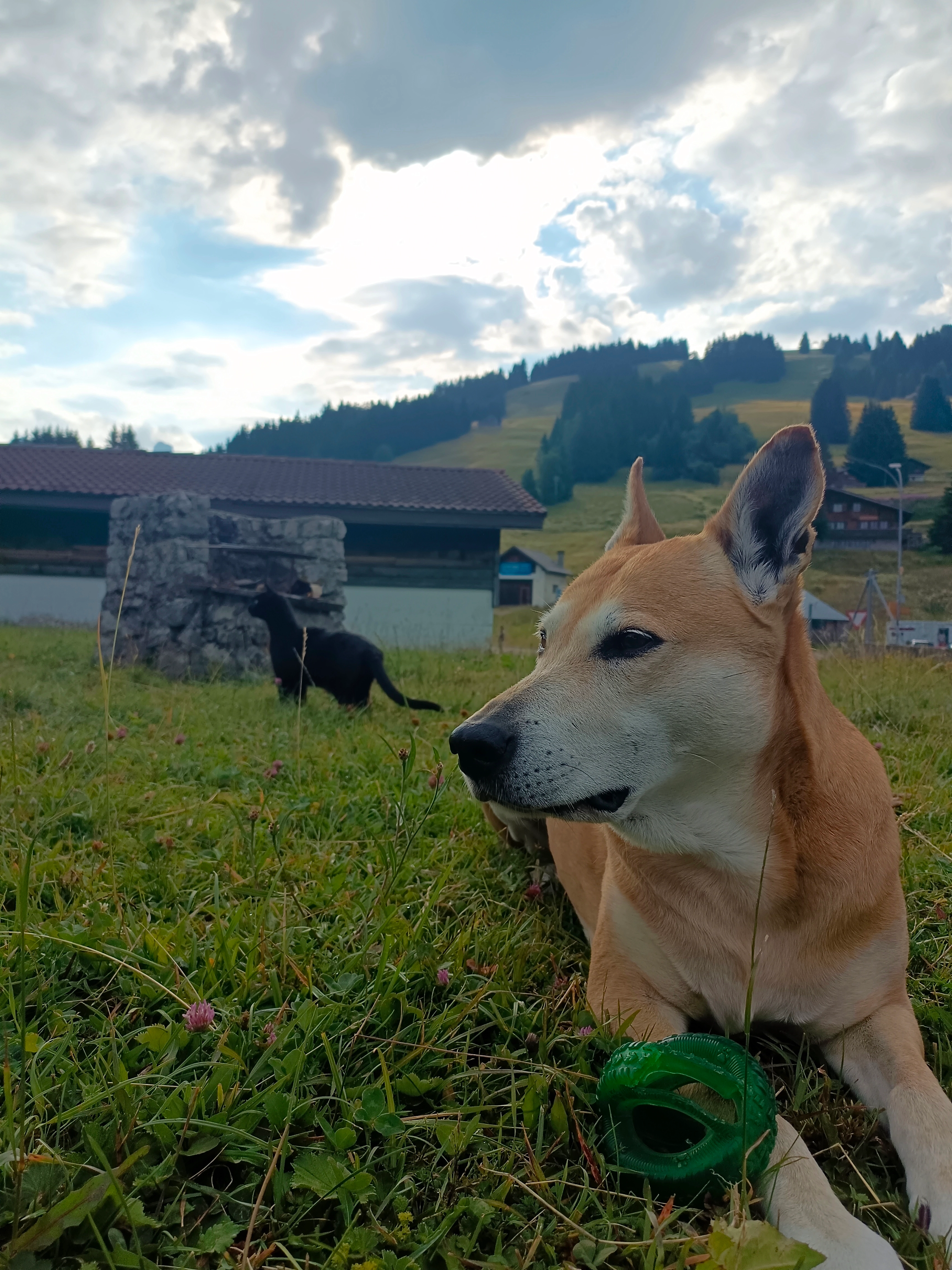 IRA - Chemin Du Chardonnet, La Lécherette