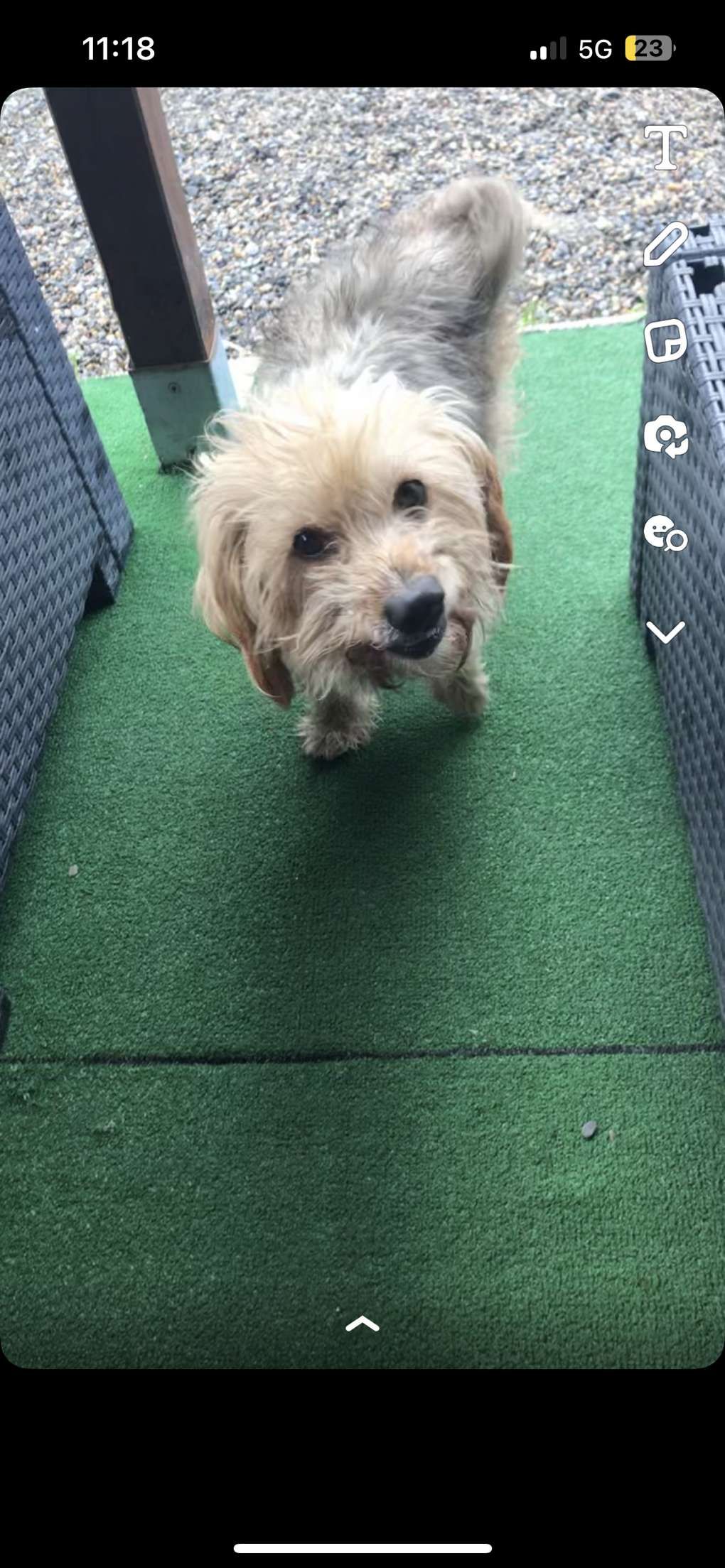 Rocky - Boulevard Urbain Ouest, Bressols