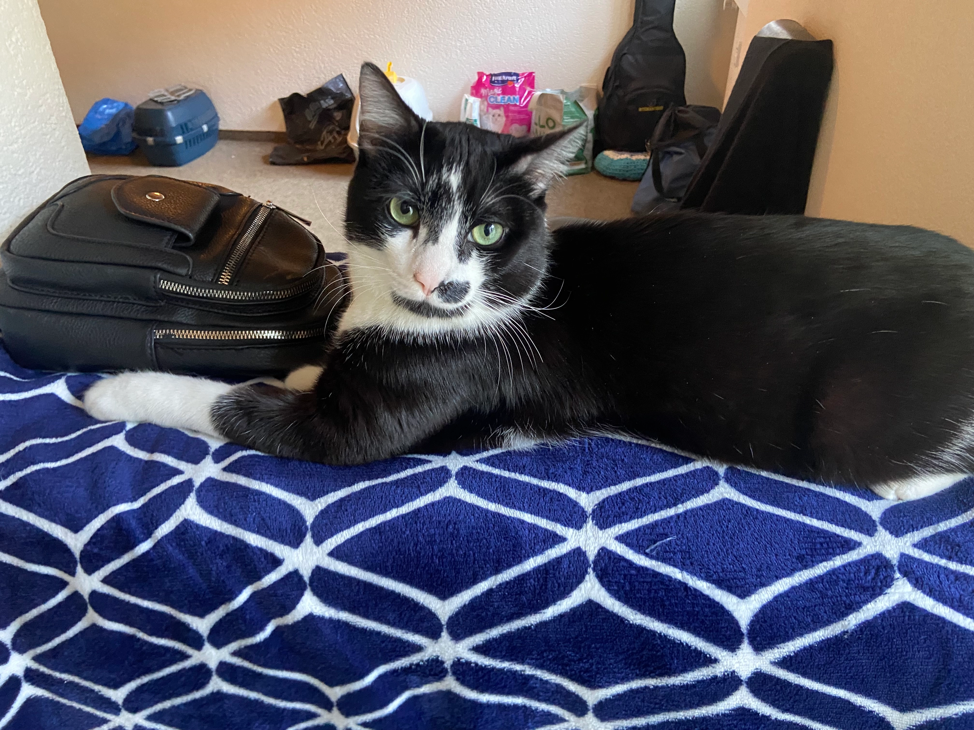 Kandur - Mühleareal, Schwanden