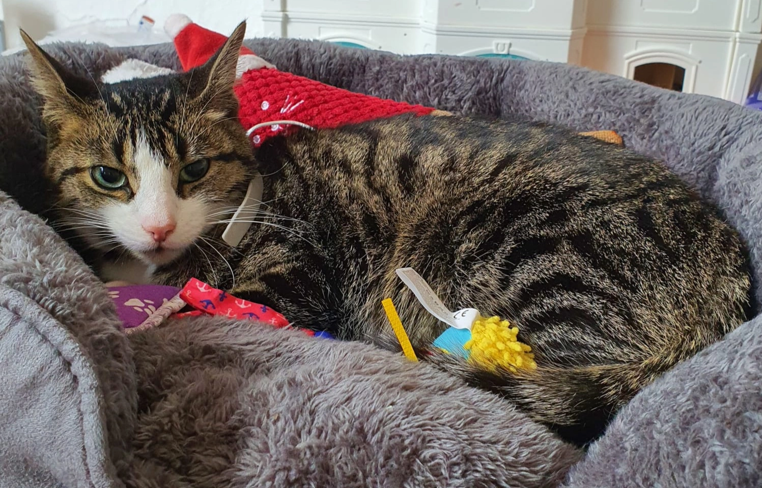 Bella - Wunstorfer Straße, Neustadt am Rübenberge