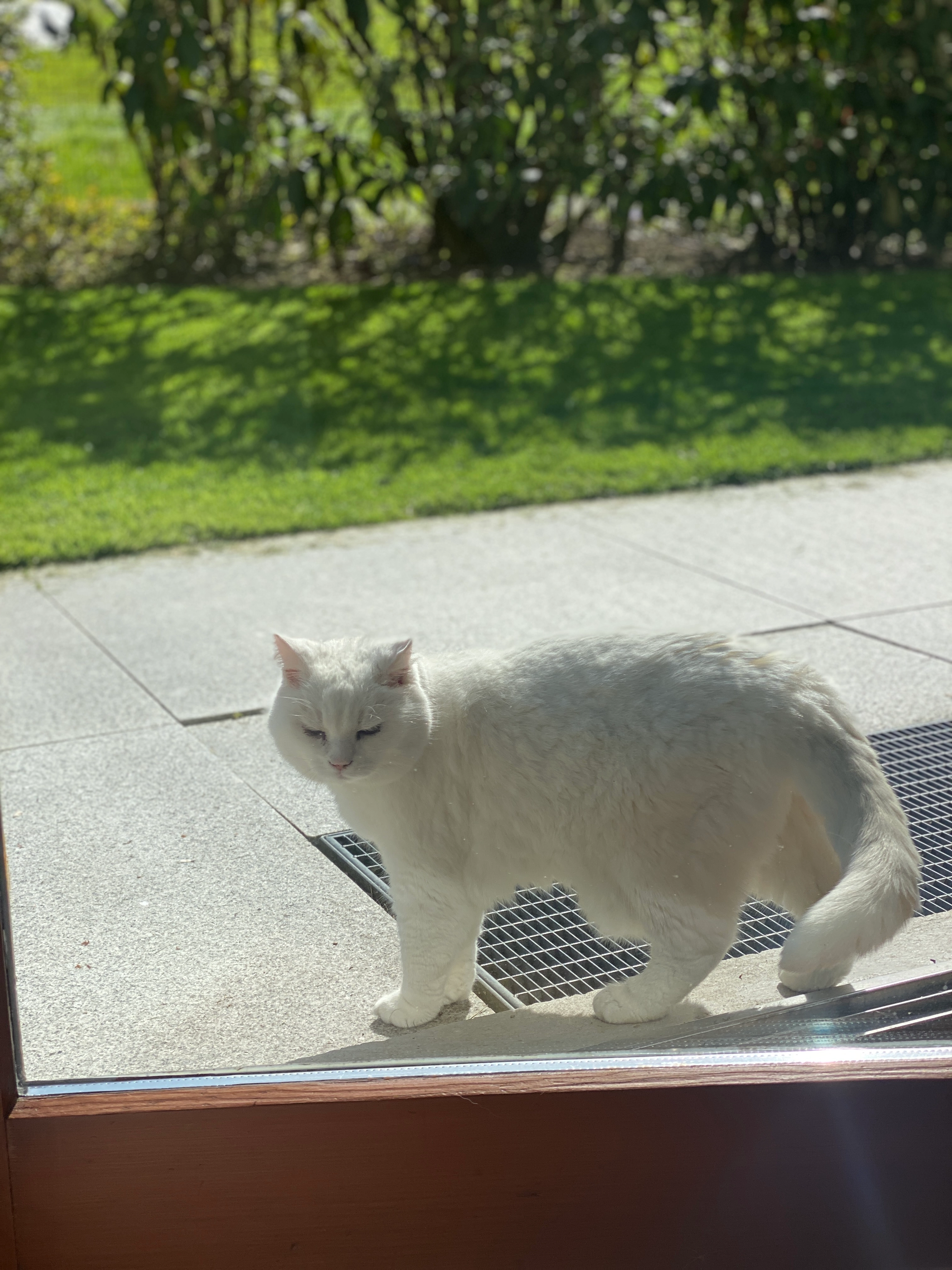 Lucy - Gustibergstrasse 10, Buttisholz