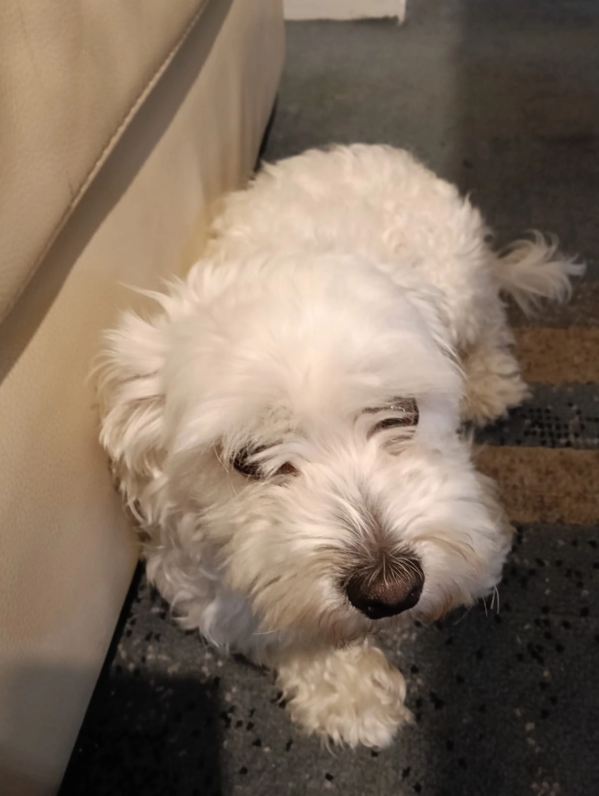 Rege - Balfour Road, Ilford