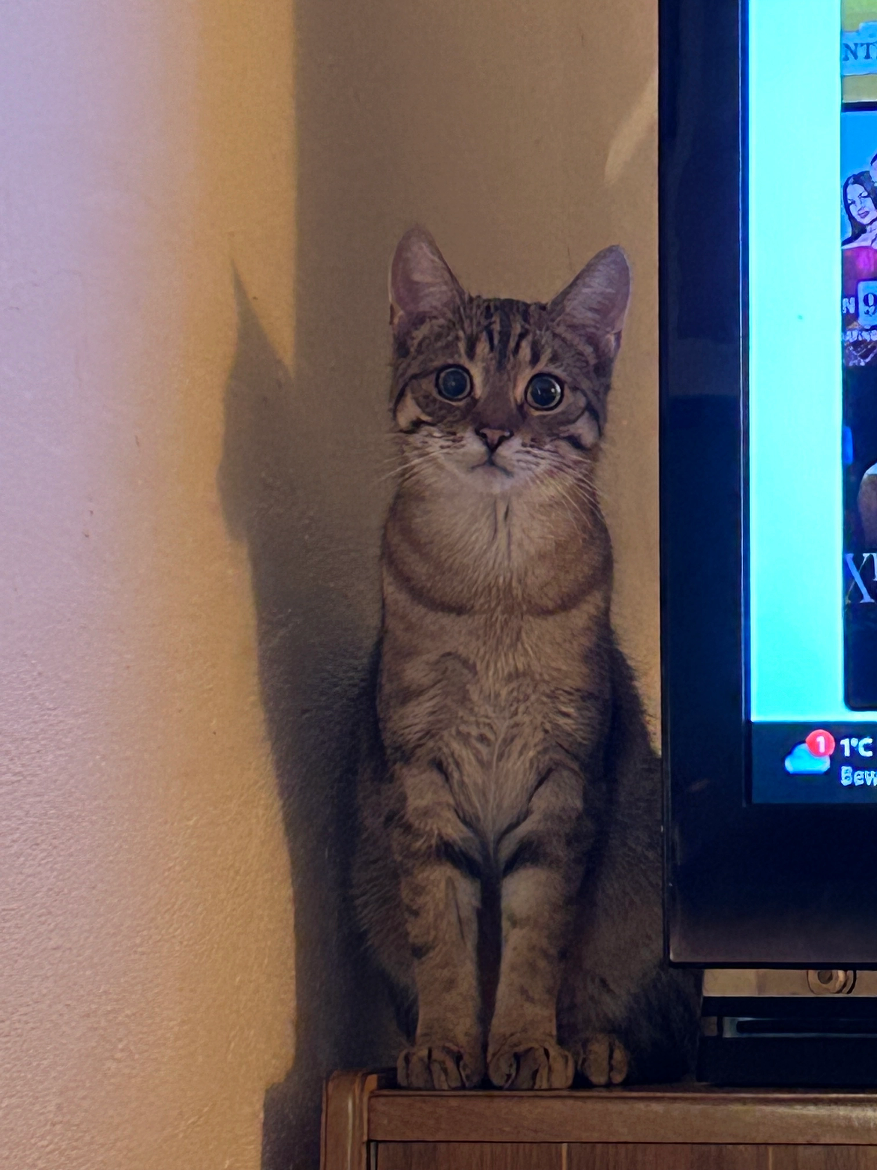 Theo - Unterhartstraße 14, Steinhaus