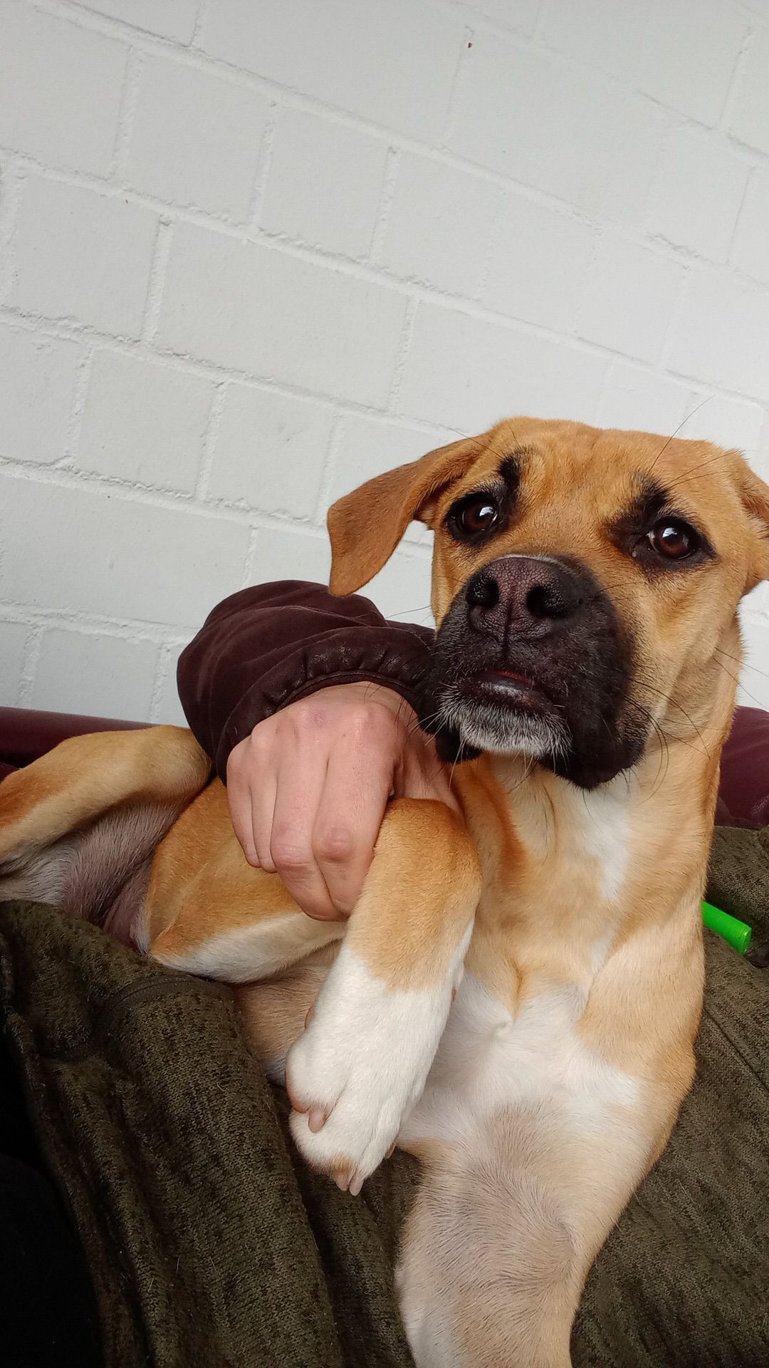 Buma - Kölner Straße, Bad Münstereifel