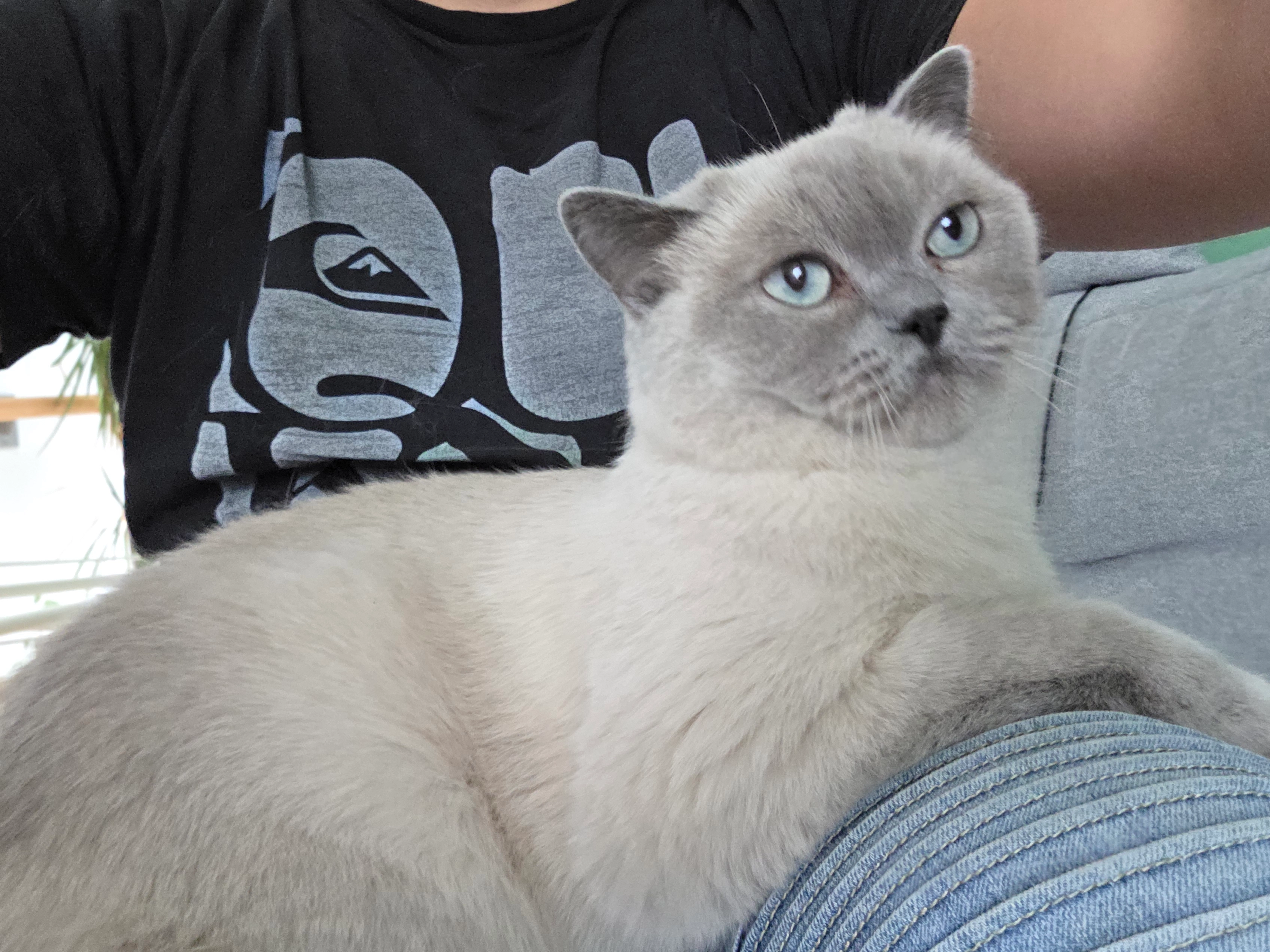 Zeus  - Forggenseestraße, Augsburg