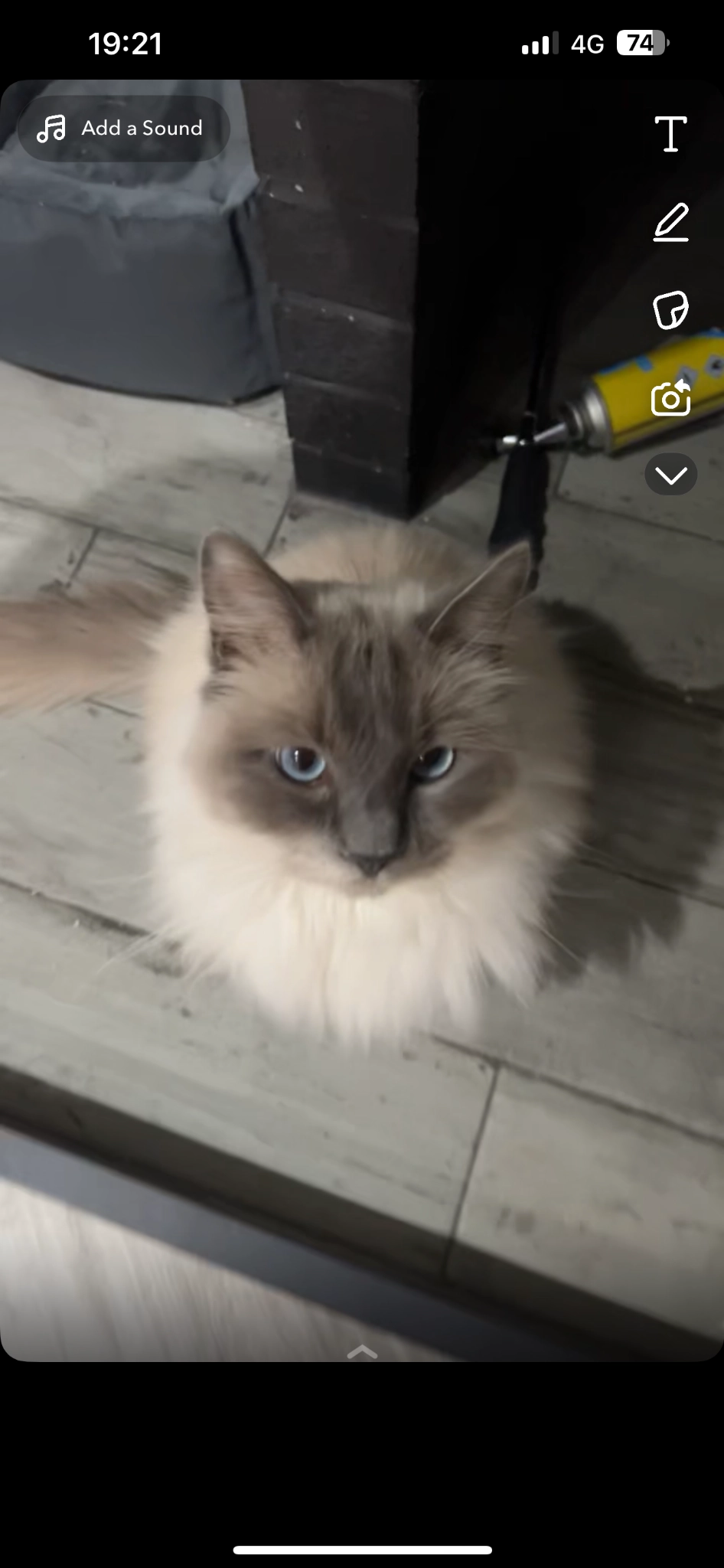 Aston - Lochty Drive, Kinglassie