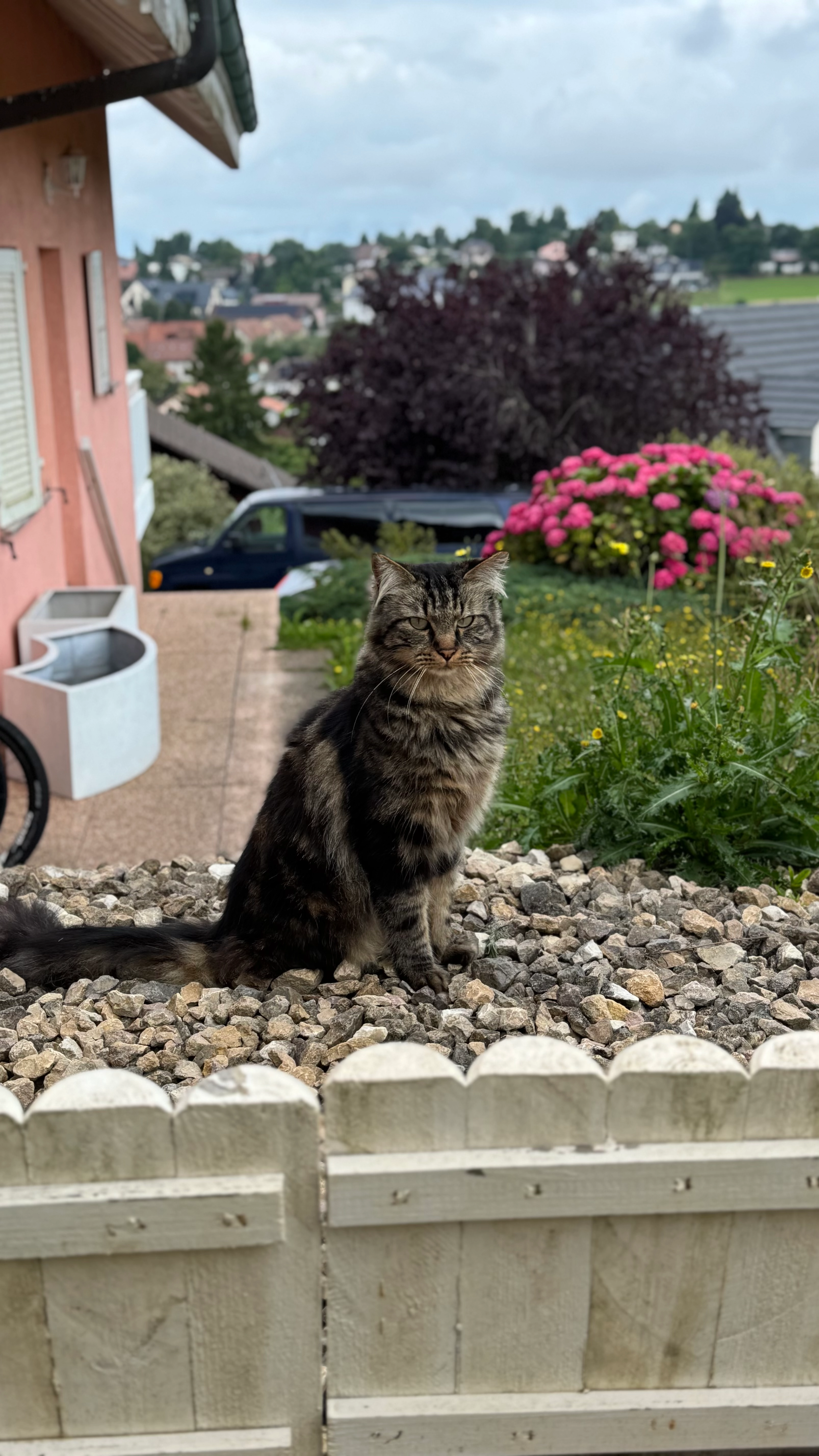 Jack - Chemin De La Carrière, Froideville