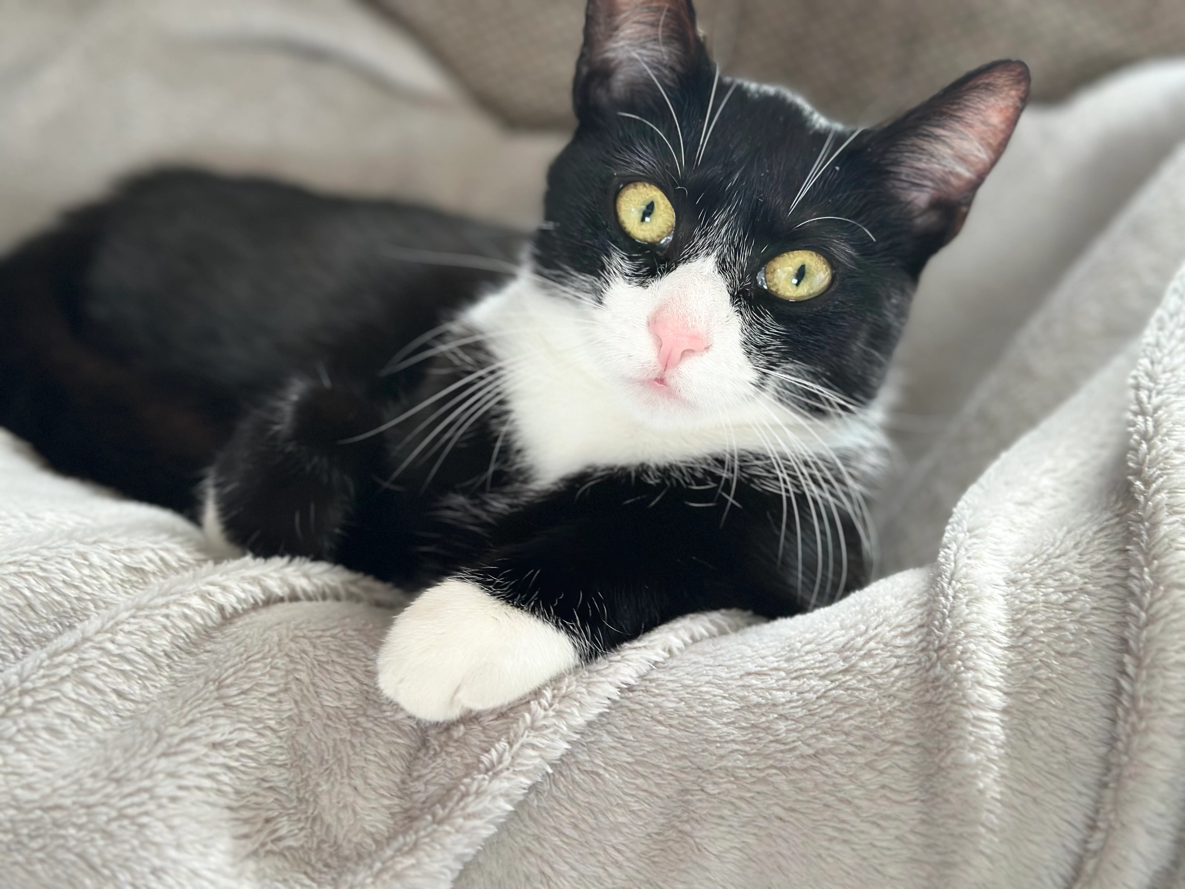 Cleo - Am Oberen Vogelherd, Osterode am Harz