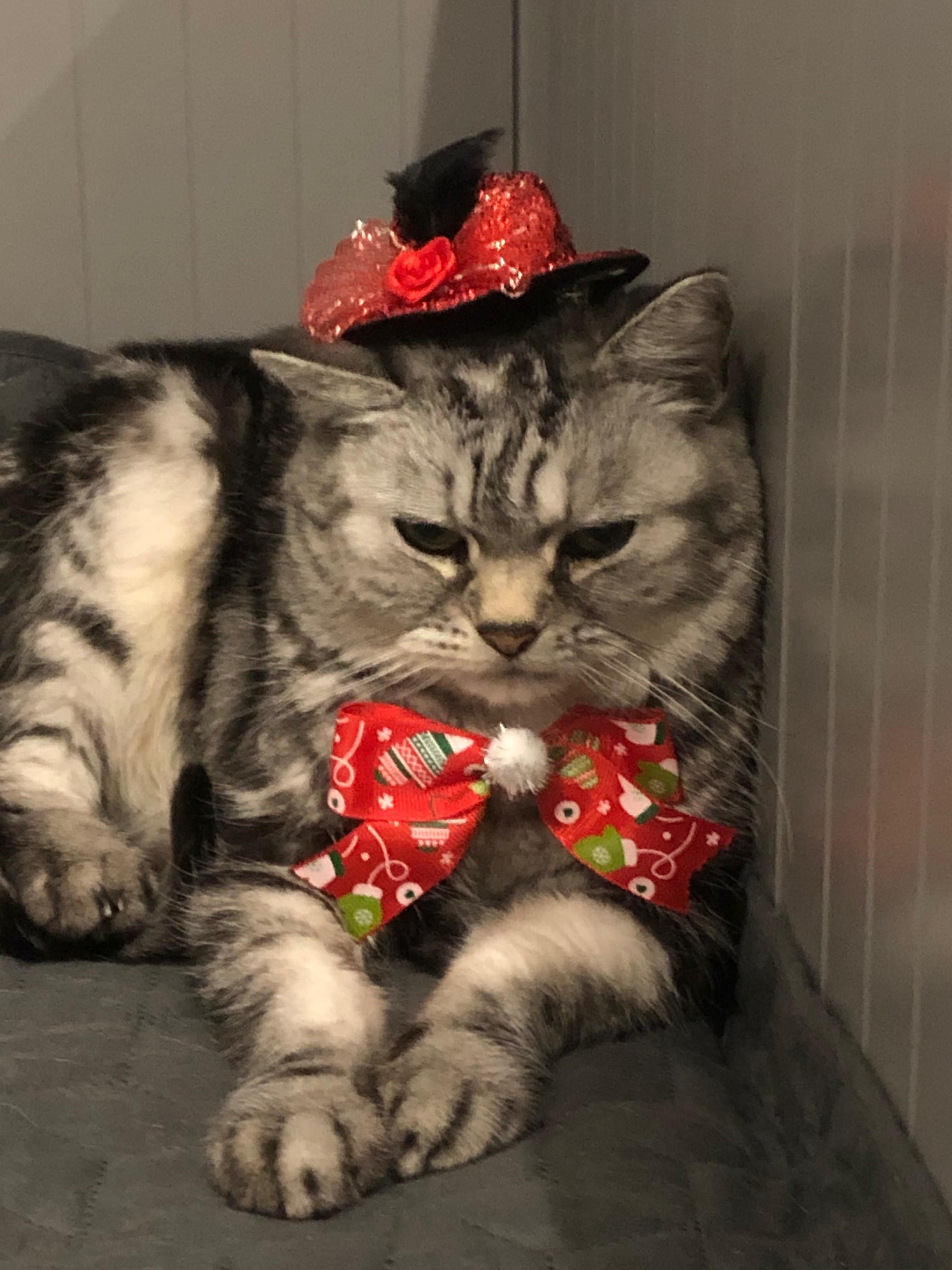 Katja - Rolandstraße, Nordhausen